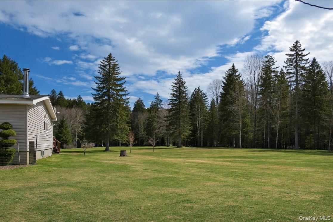 Single Family Cooley  Sullivan County, NY 12768, MLS-968804-6