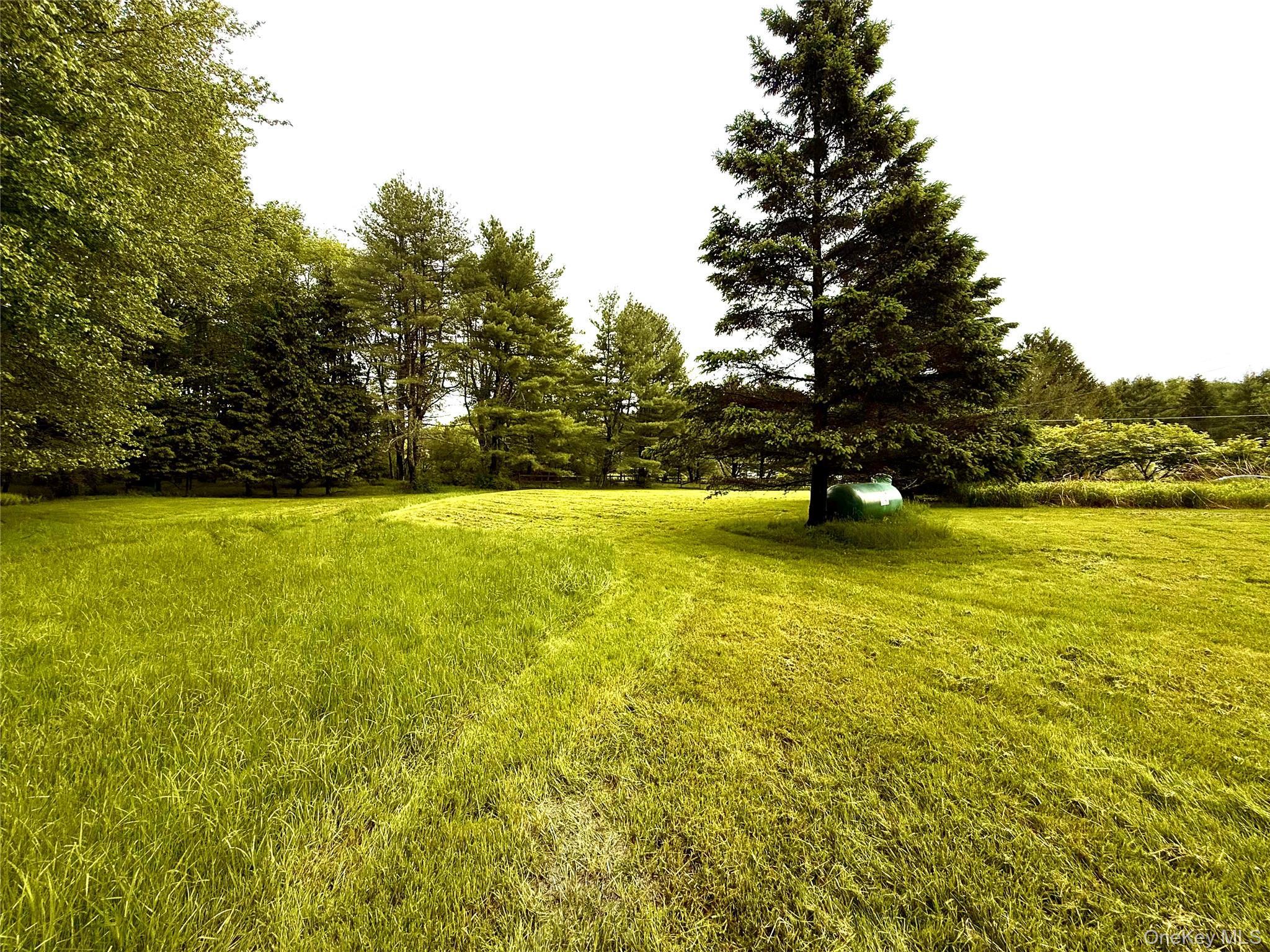 Single Family Moscoe Road Sullivan County, NY 12786, MLS-968845-14