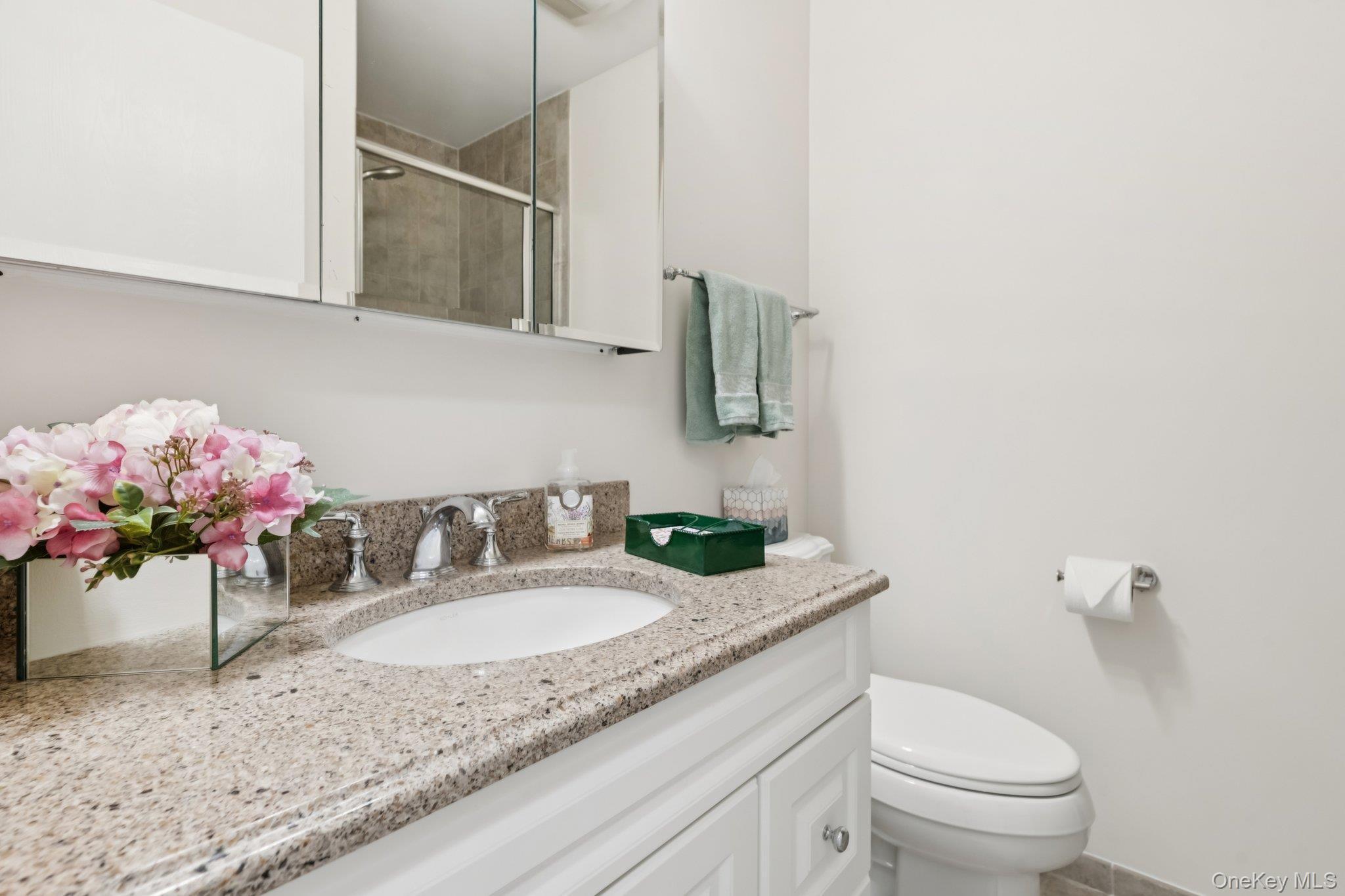 Condo Drew  Suffolk County, NY 11780, MLS-968859-20