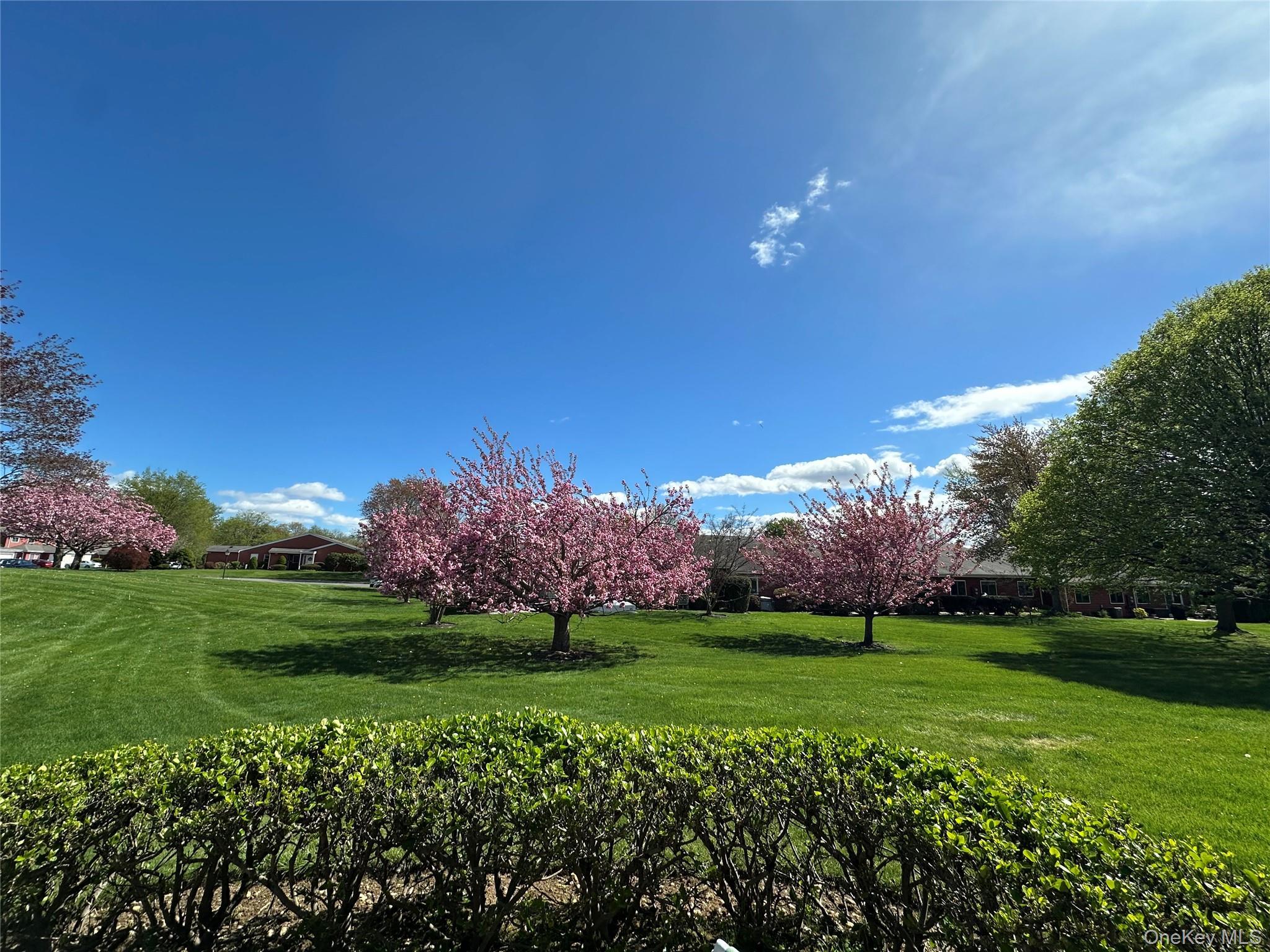 Condo Drew  Suffolk County, NY 11780, MLS-968859-31