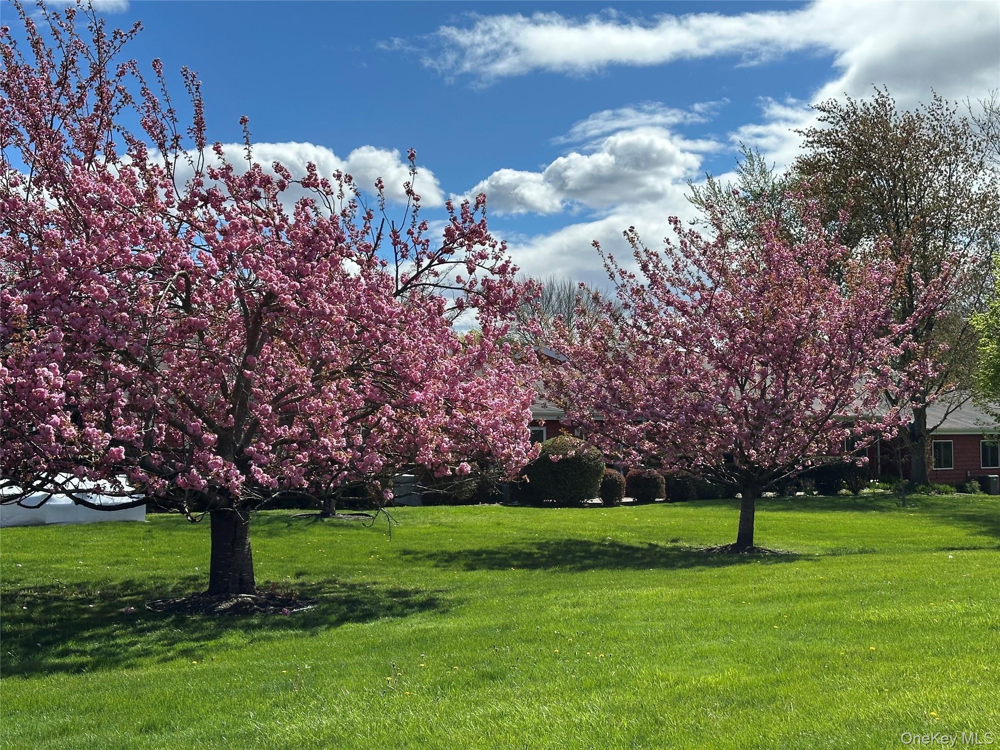 Condo Drew  Suffolk County, NY 11780, MLS-968859-32