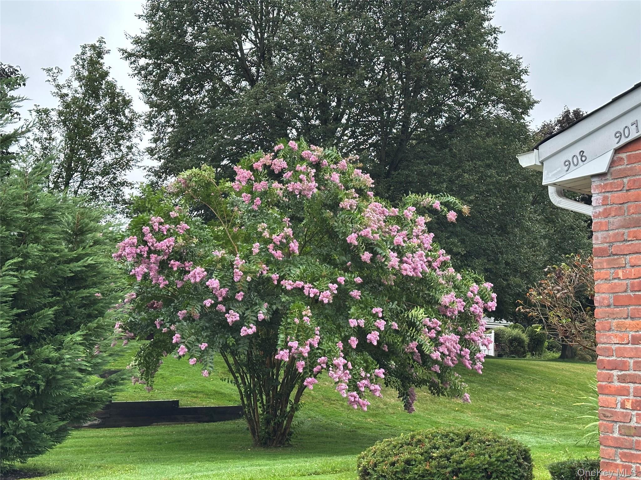 Condo Drew  Suffolk County, NY 11780, MLS-968859-4