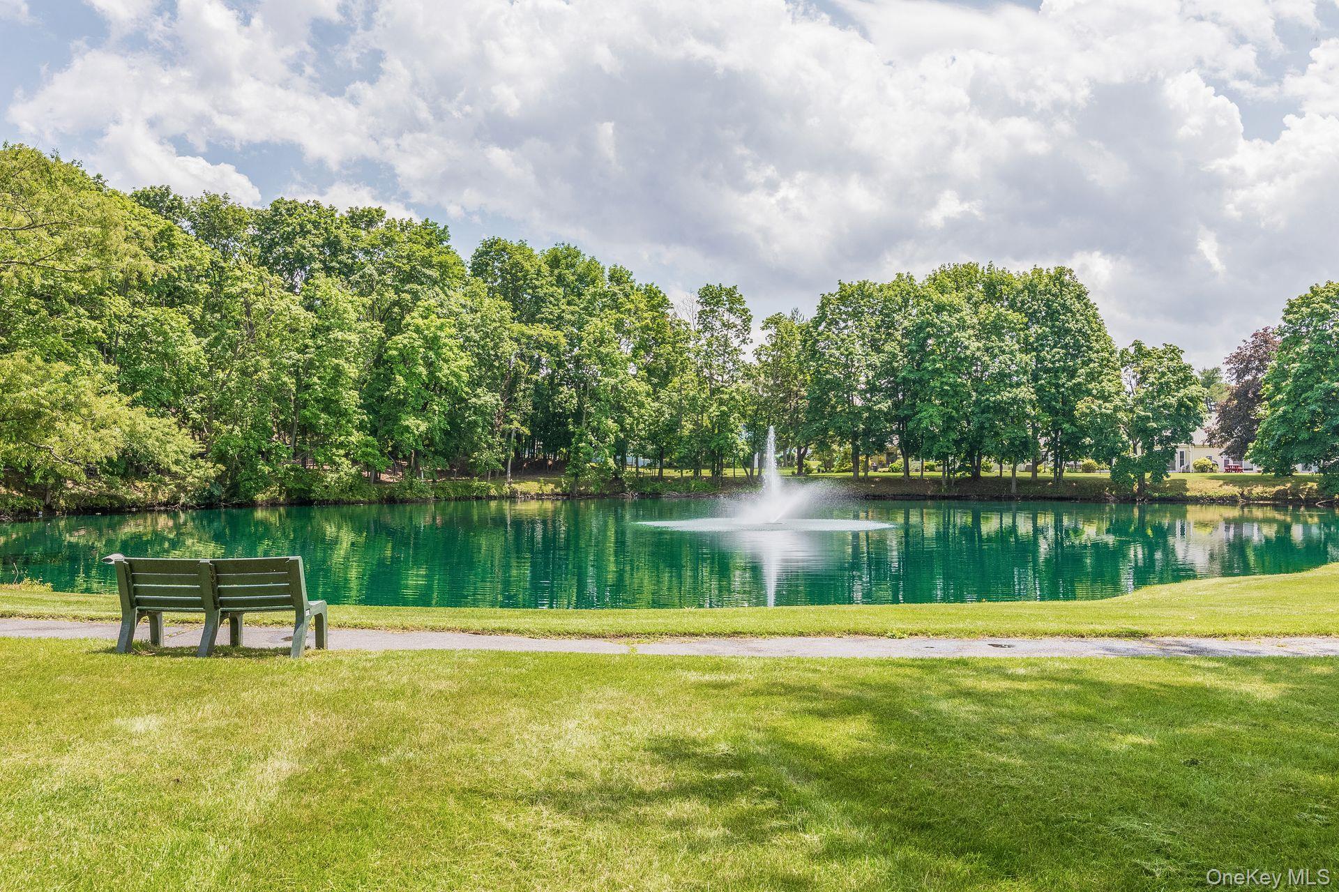 Condo Drew  Suffolk County, NY 11780, MLS-968859-41