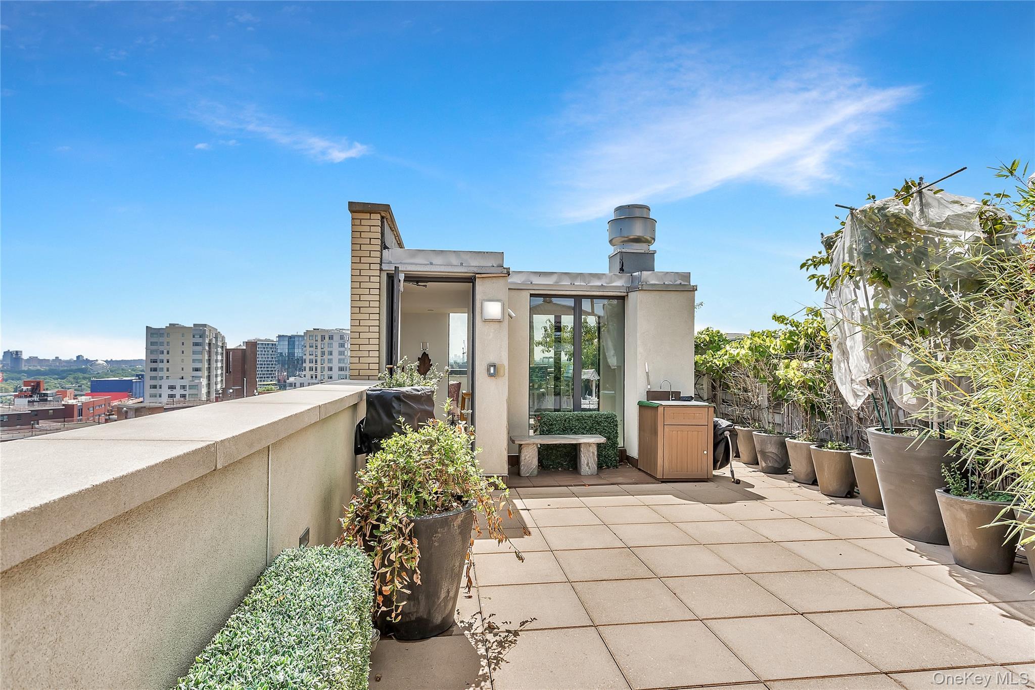 Condo Prince  Queens, NY 11354, MLS-968876-20