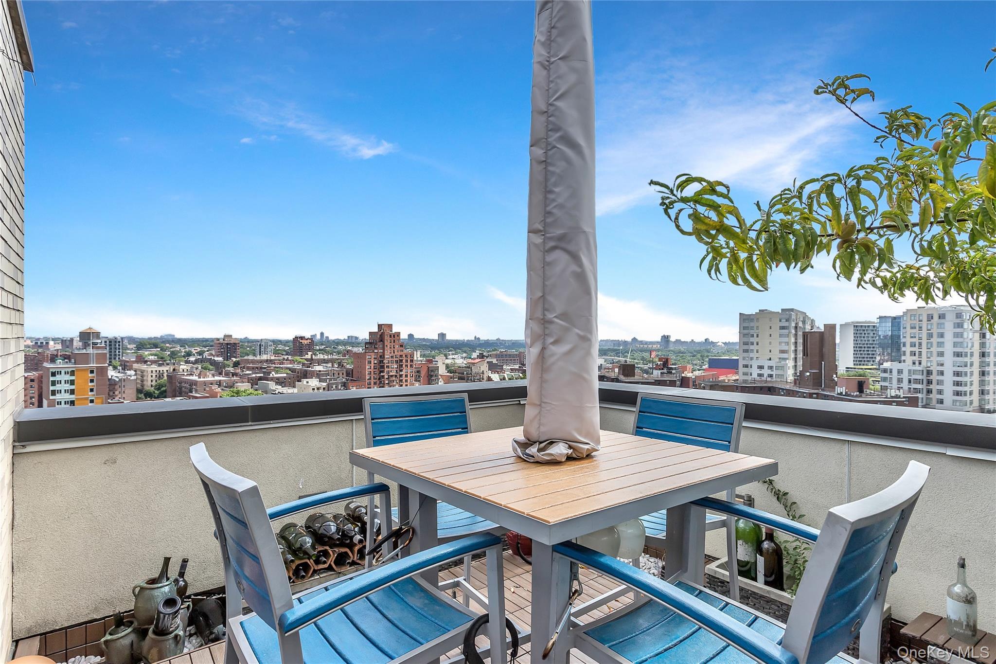 Condo Prince  Queens, NY 11354, MLS-968876-22