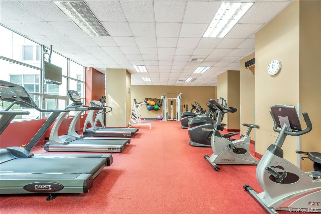 Condo Landmark Westchester County, NY 10573, MLS-968881-12