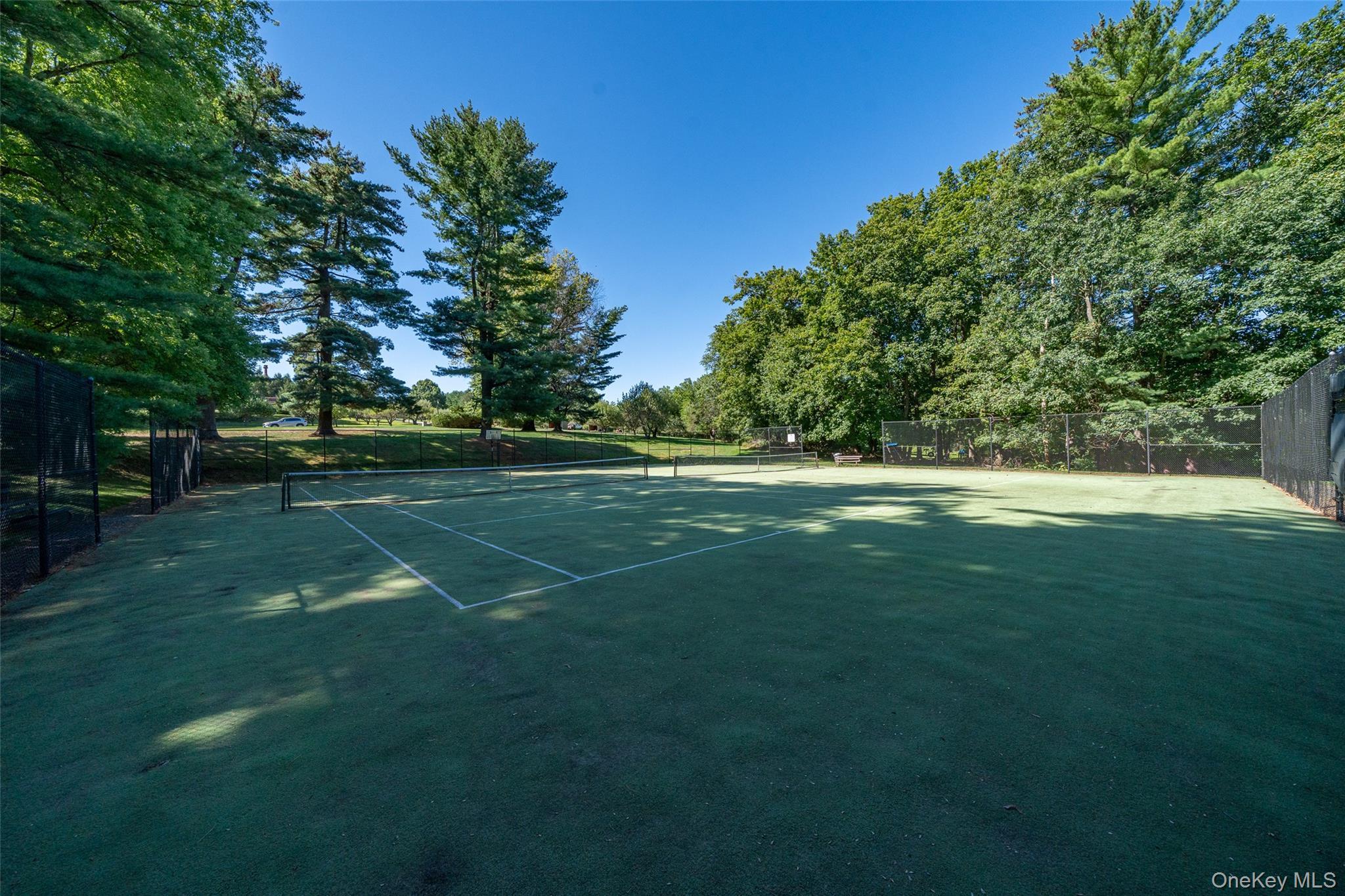 Condo Grove  Westchester County, NY 10514, MLS-969052-25