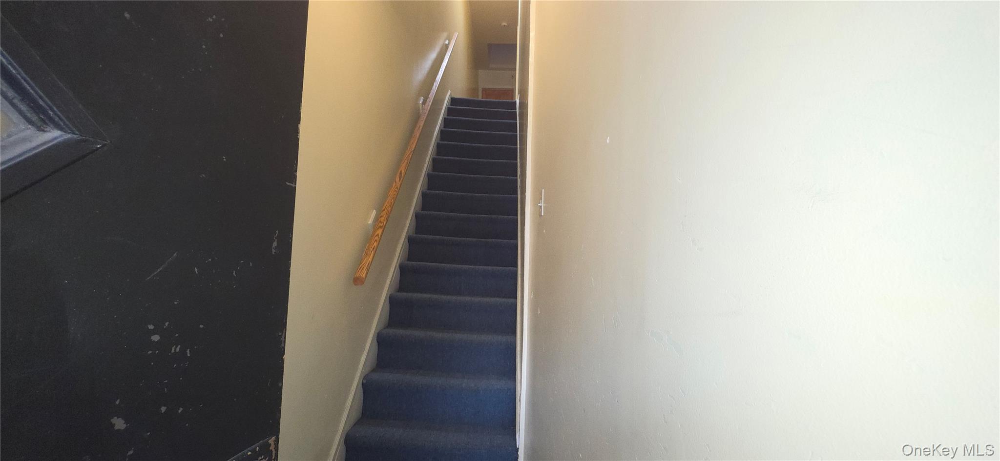 Single Family Myrtle  Queens, NY 11385, MLS-969070-26