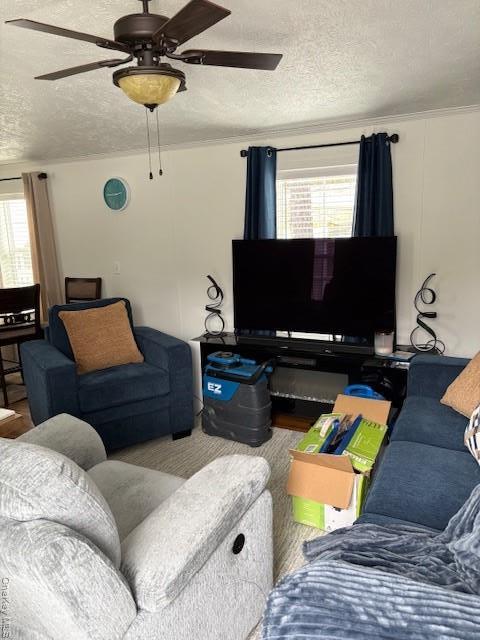 Single Family Ash St  Suffolk County, NY 11901, MLS-969099-3