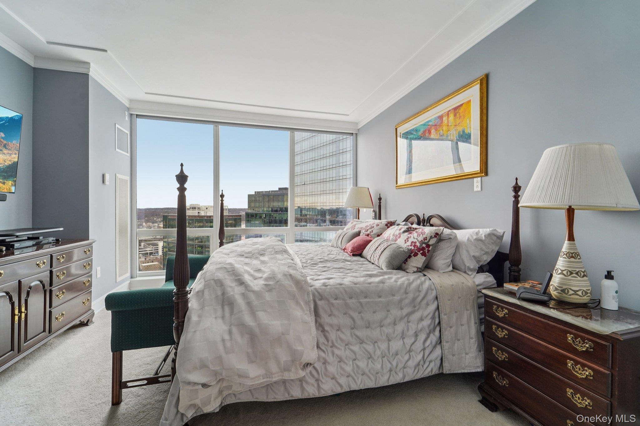 Condo Renaissance  Westchester County, NY 10601, MLS-969108-9