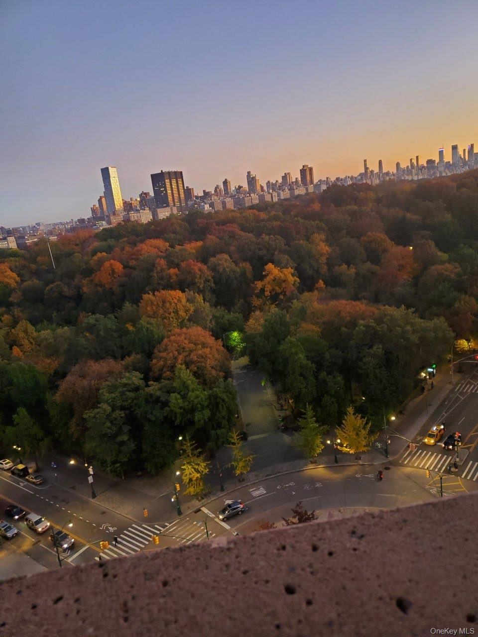 Condo 110th  Manhattan, NY 10026, MLS-969166-16