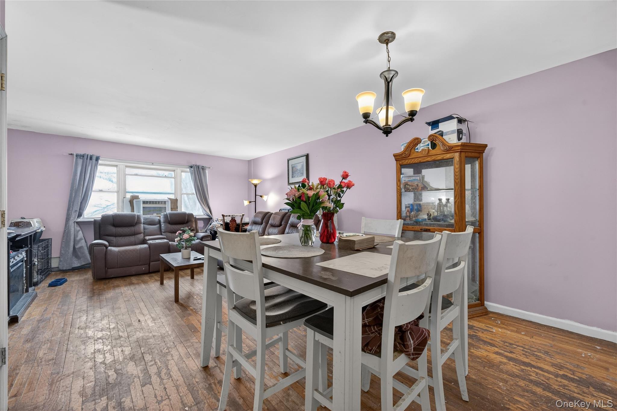 Single Family Hendrix  Brooklyn, NY 11207, MLS-969203-4