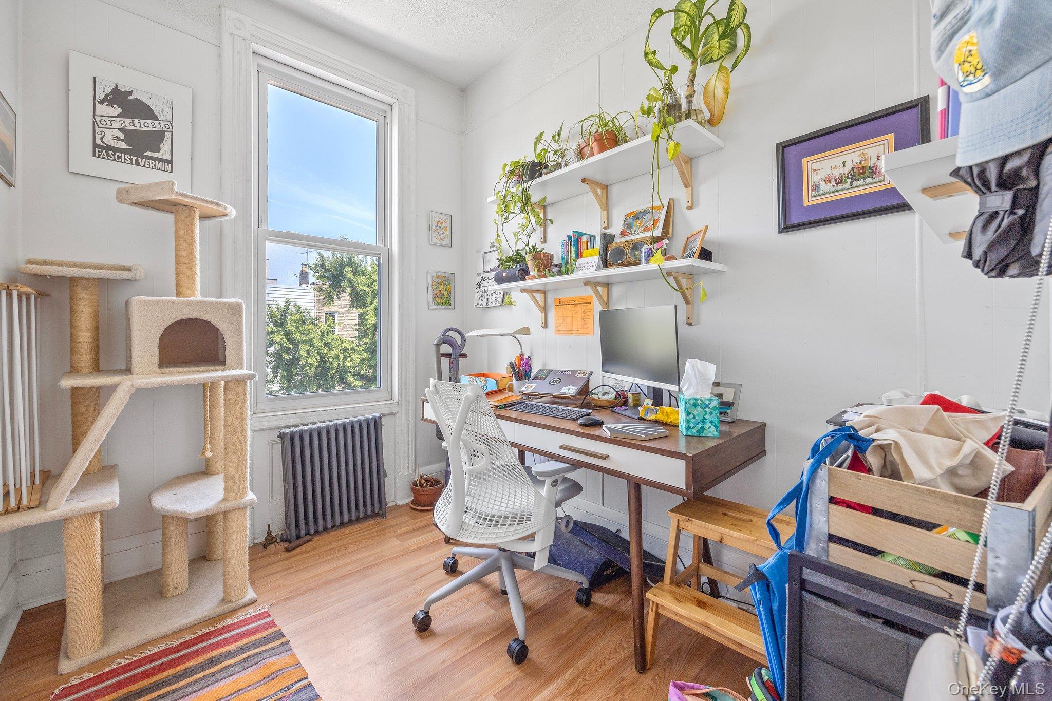 Single Family Schaefer  Brooklyn, NY 11207, MLS-969251-16