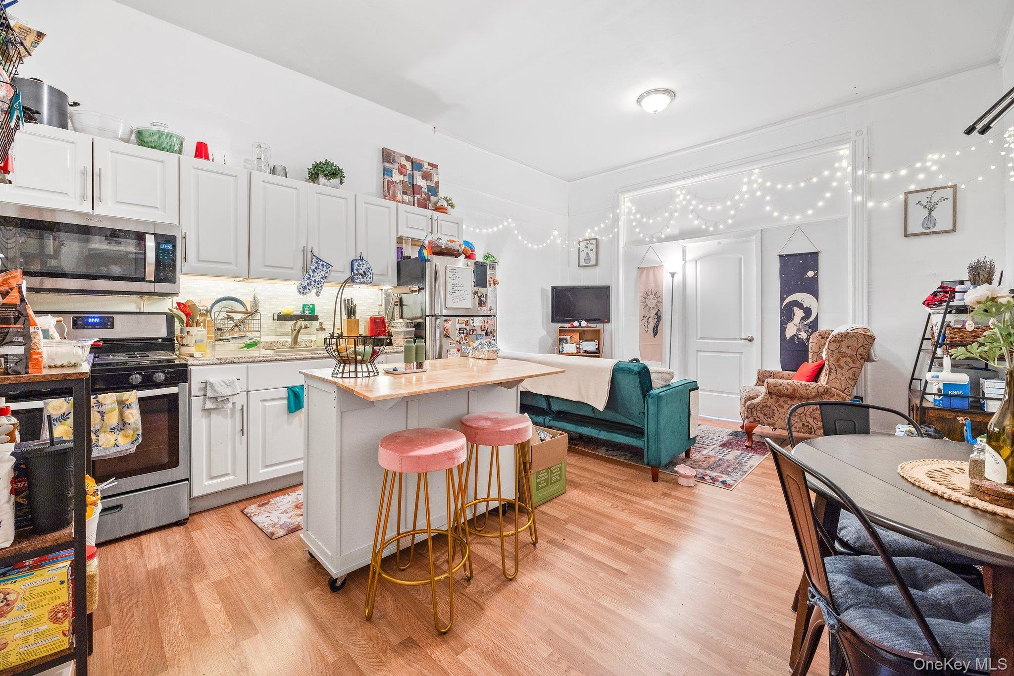 Single Family Schaefer  Brooklyn, NY 11207, MLS-969251-5