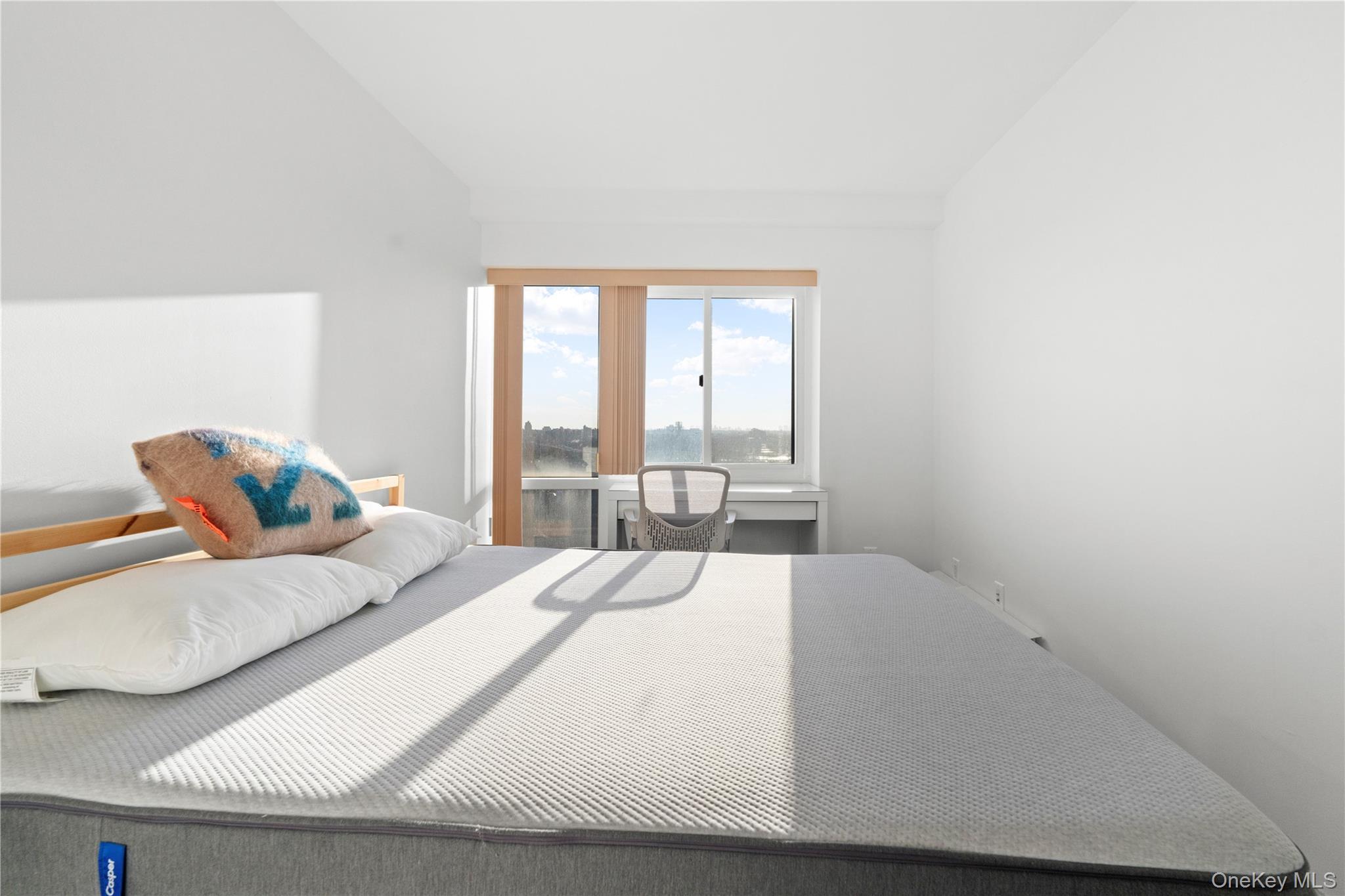 Condo Main  Queens, NY 11355, MLS-969299-20