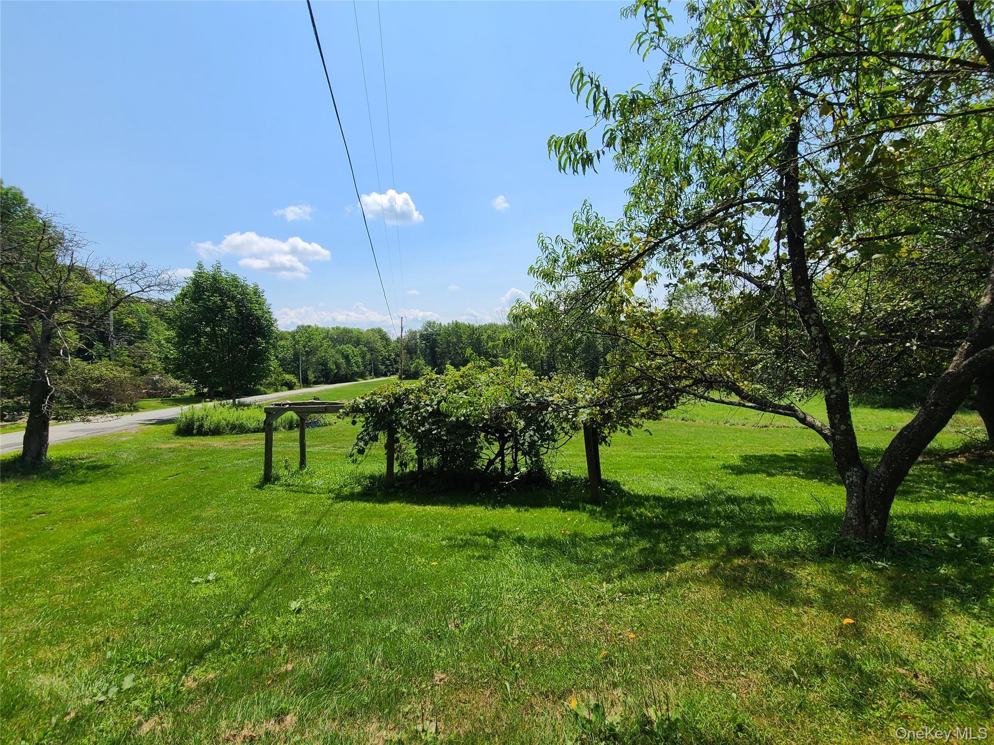 Single Family Stump Pond Road  Sullivan County, NY 12758, MLS-969303-10