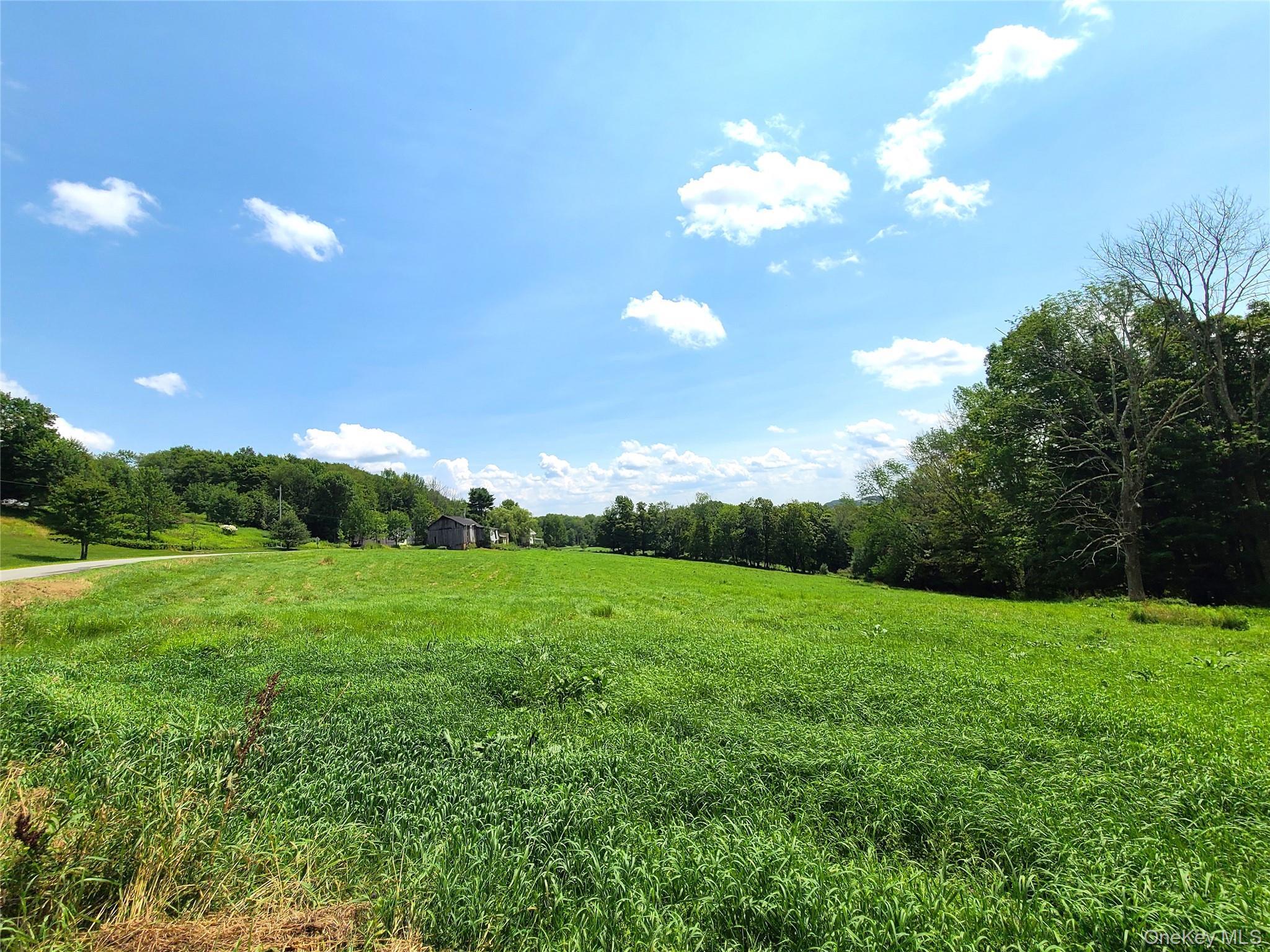 Single Family Stump Pond Road  Sullivan County, NY 12758, MLS-969303-12