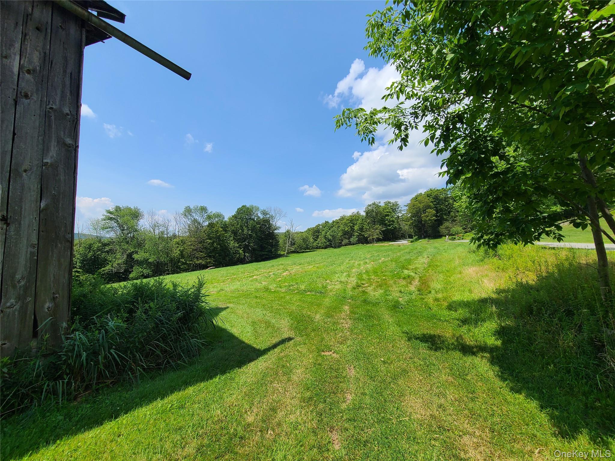 Single Family Stump Pond Road  Sullivan County, NY 12758, MLS-969303-25