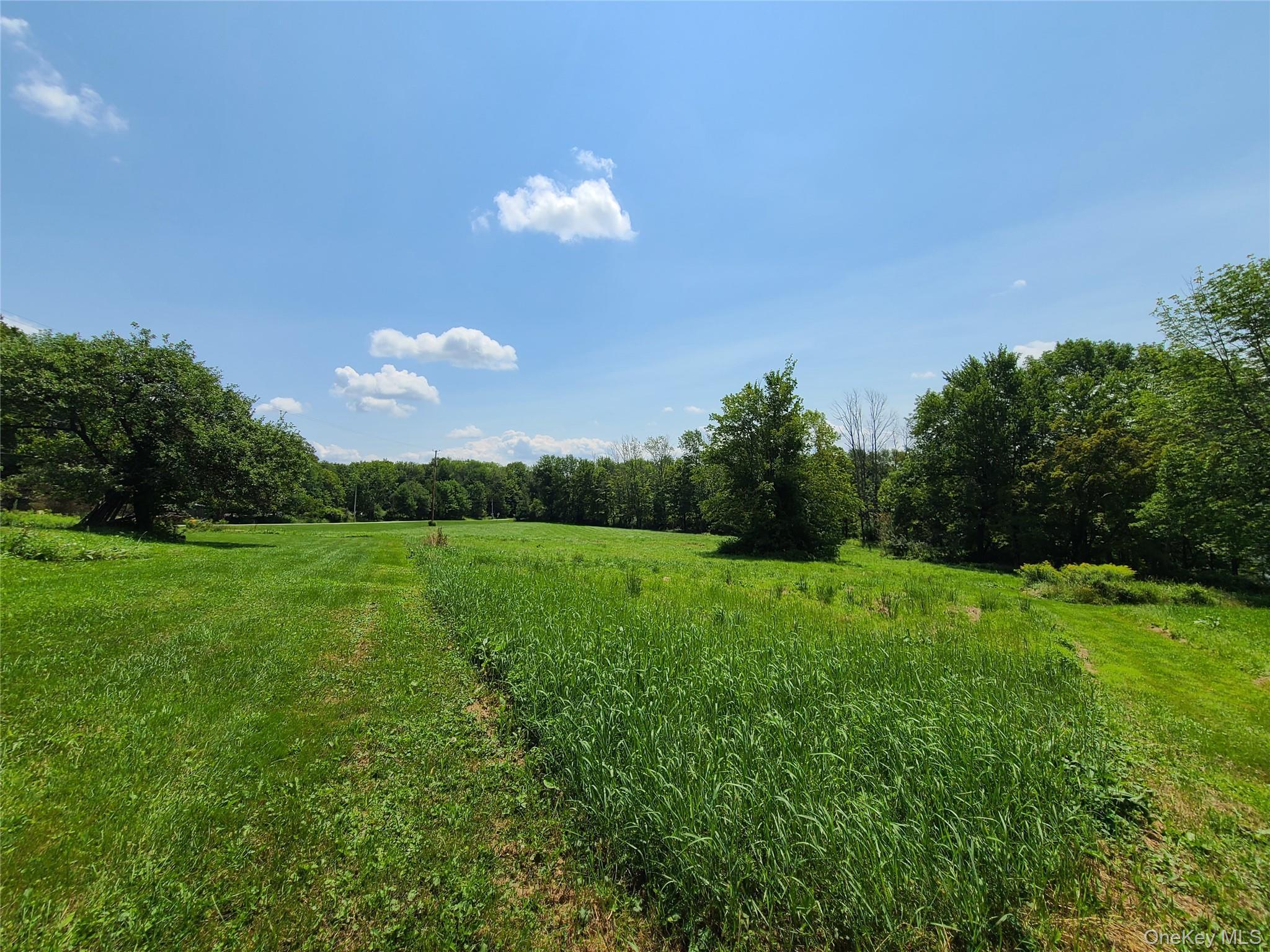 Single Family Stump Pond Road  Sullivan County, NY 12758, MLS-969303-26