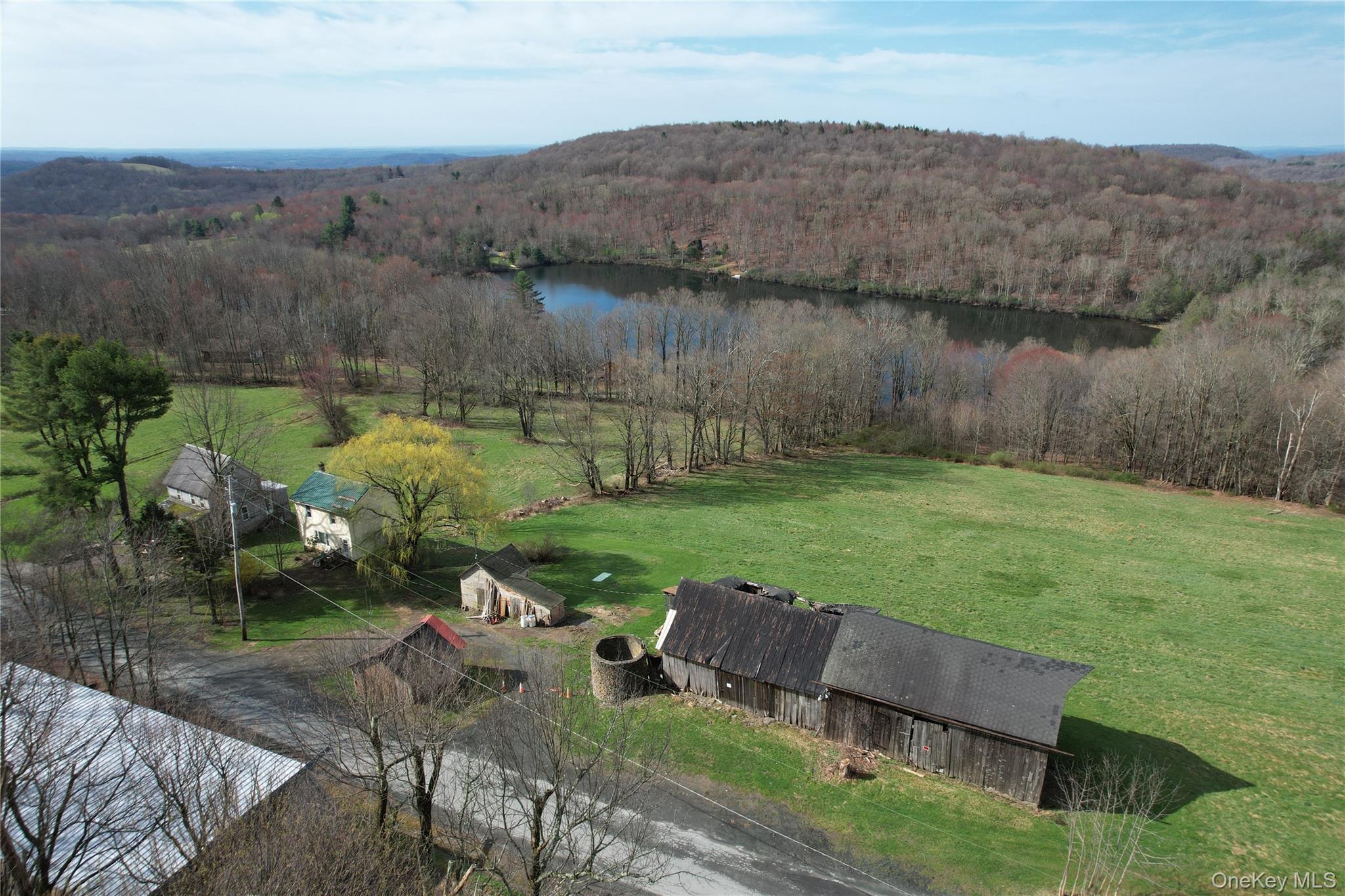 Single Family Stump Pond Road  Sullivan County, NY 12758, MLS-969303-3