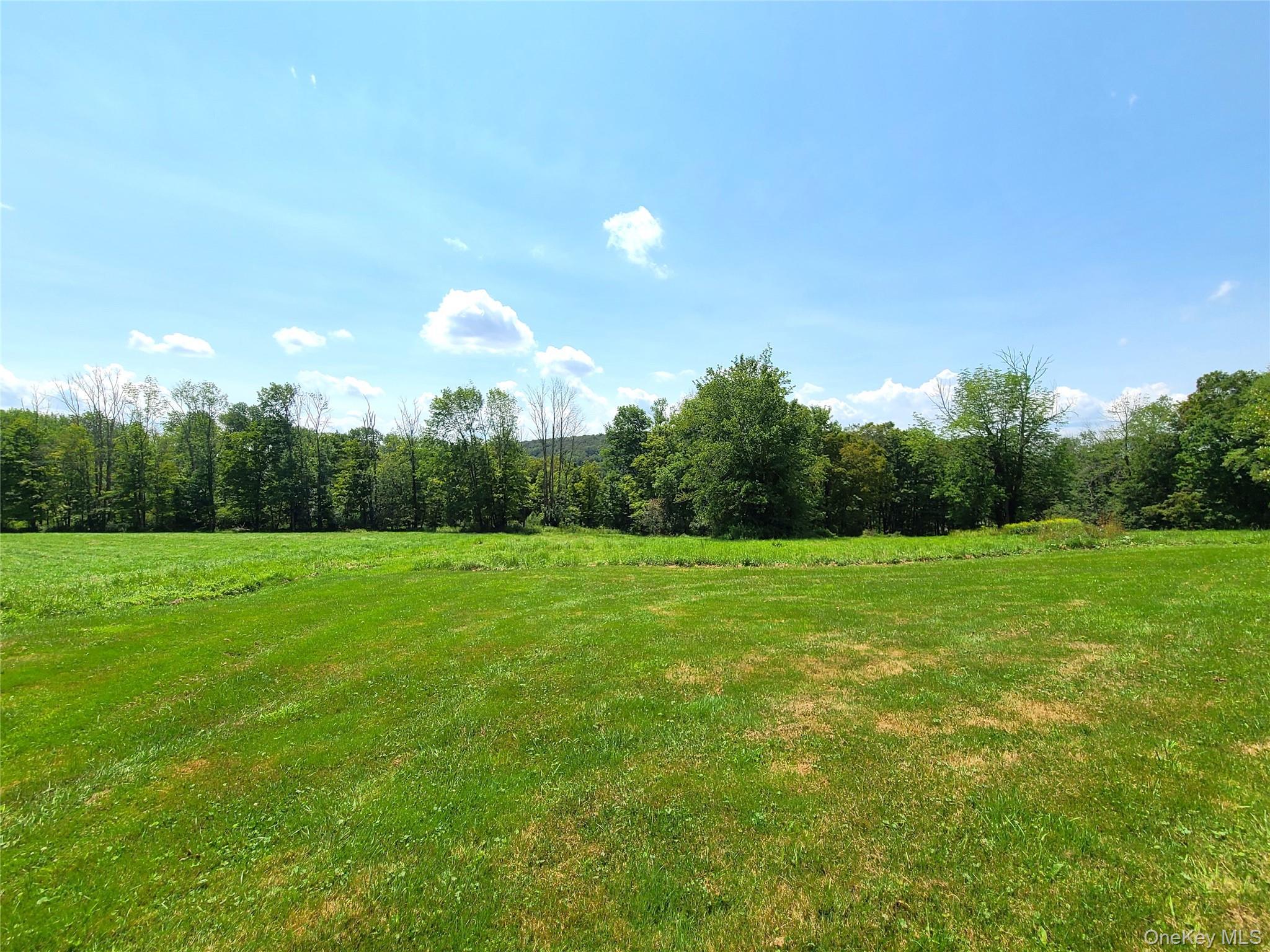 Single Family Stump Pond Road  Sullivan County, NY 12758, MLS-969303-41