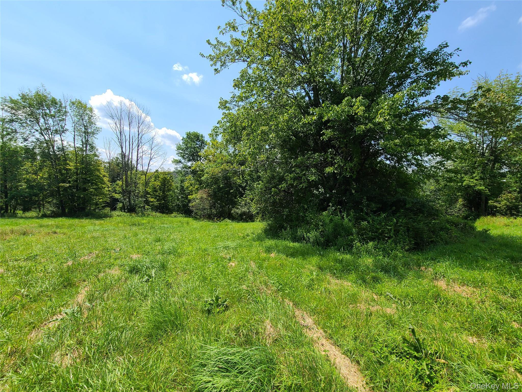 Single Family Stump Pond Road  Sullivan County, NY 12758, MLS-969303-42