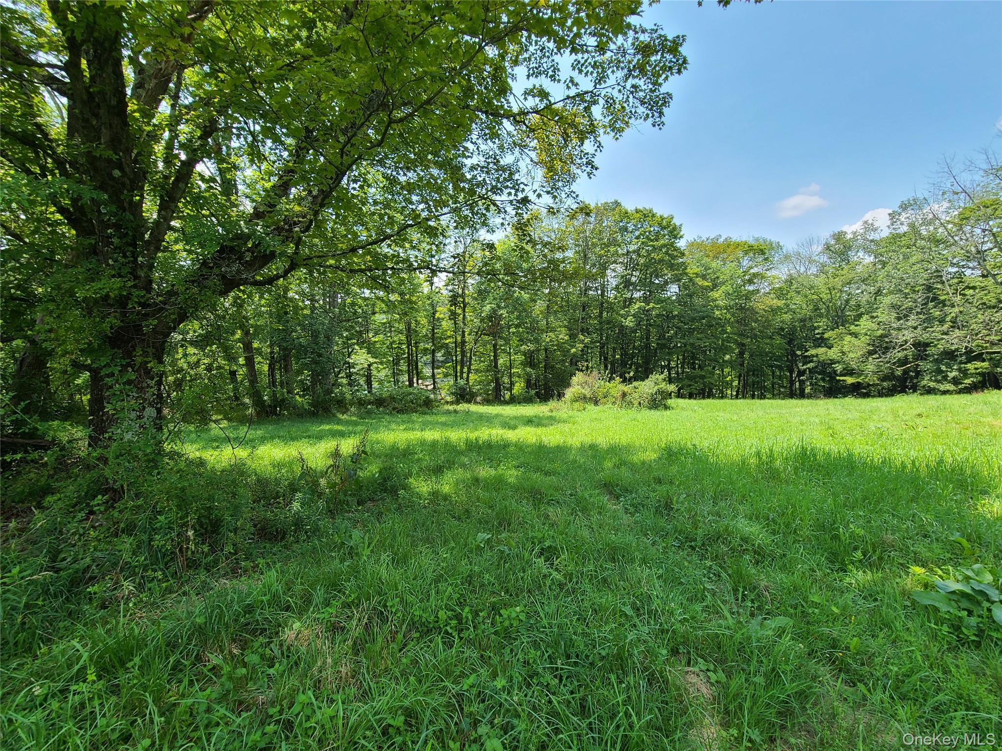 Single Family Stump Pond Road  Sullivan County, NY 12758, MLS-969303-43