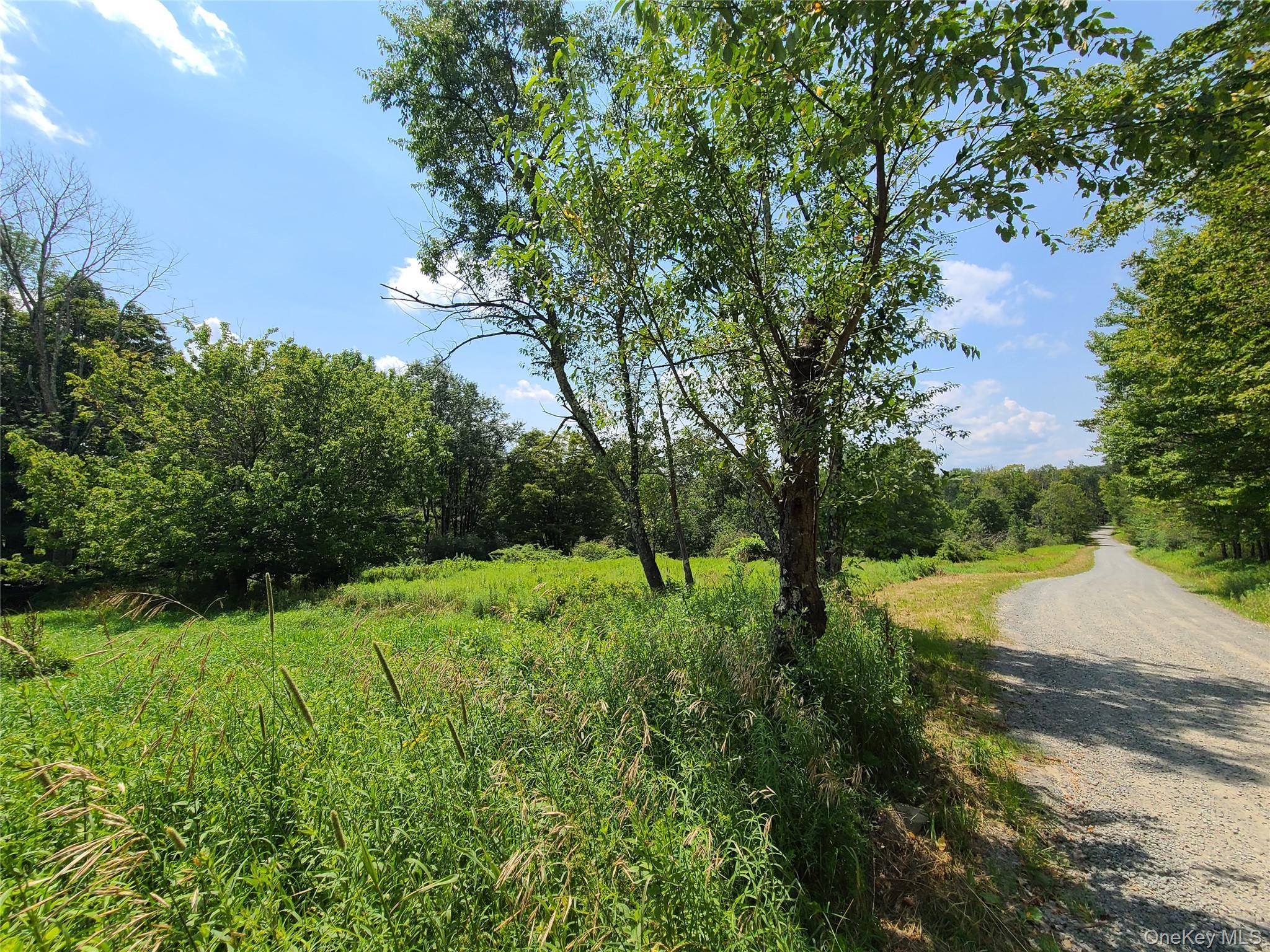 Single Family Stump Pond Road  Sullivan County, NY 12758, MLS-969303-47