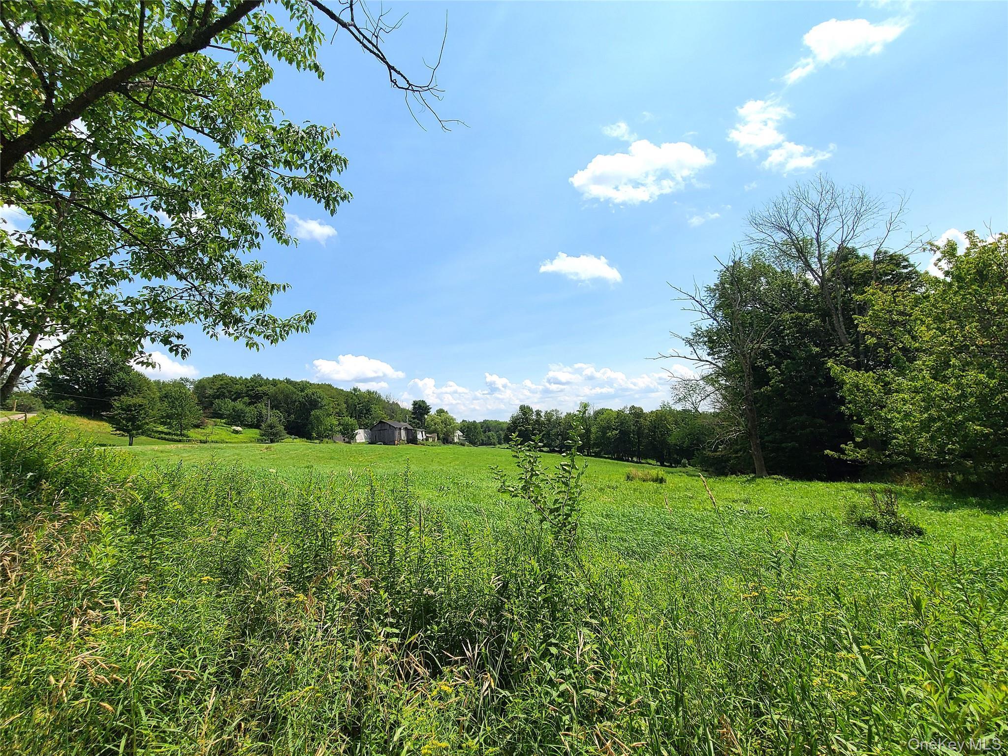 Single Family Stump Pond Road  Sullivan County, NY 12758, MLS-969303-48