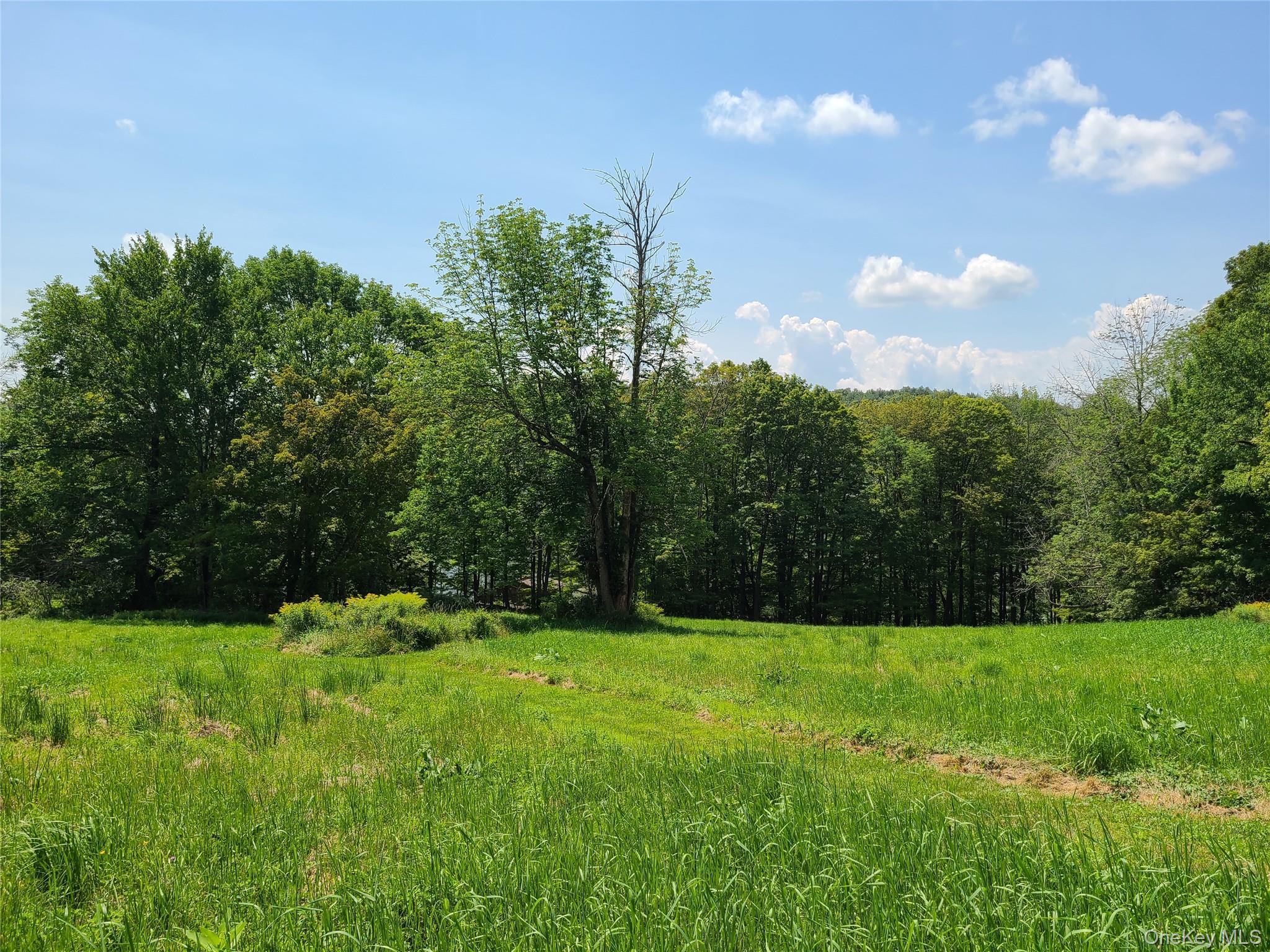 Single Family Stump Pond Road  Sullivan County, NY 12758, MLS-969303-49