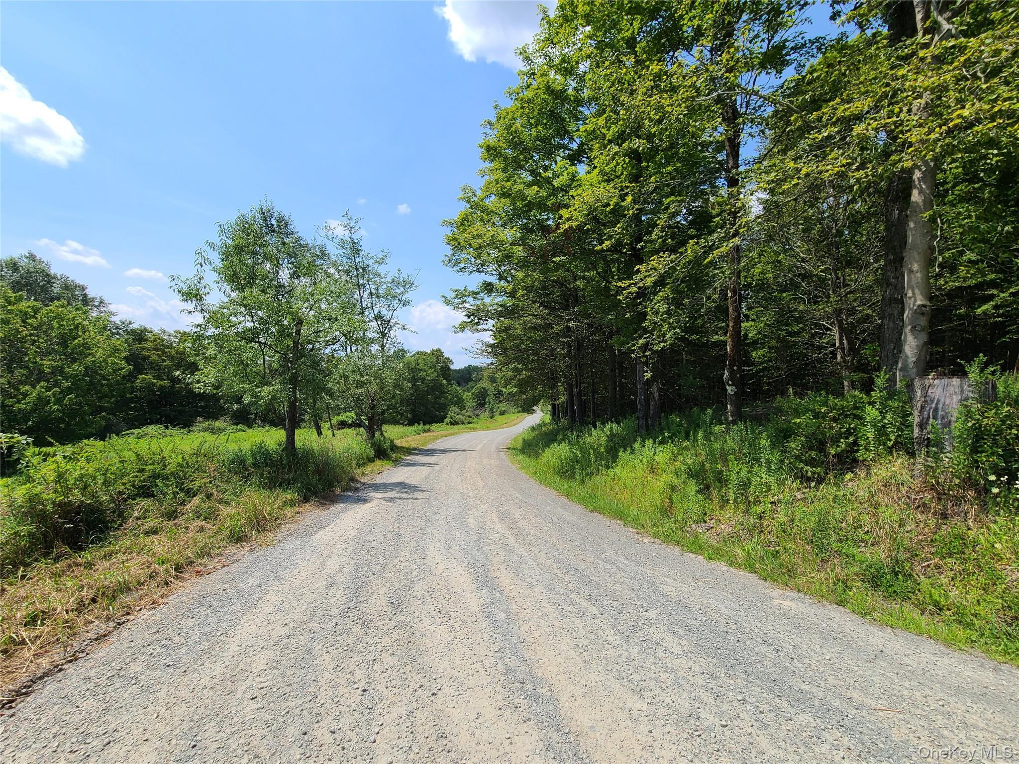 Single Family Stump Pond Road  Sullivan County, NY 12758, MLS-969303-6