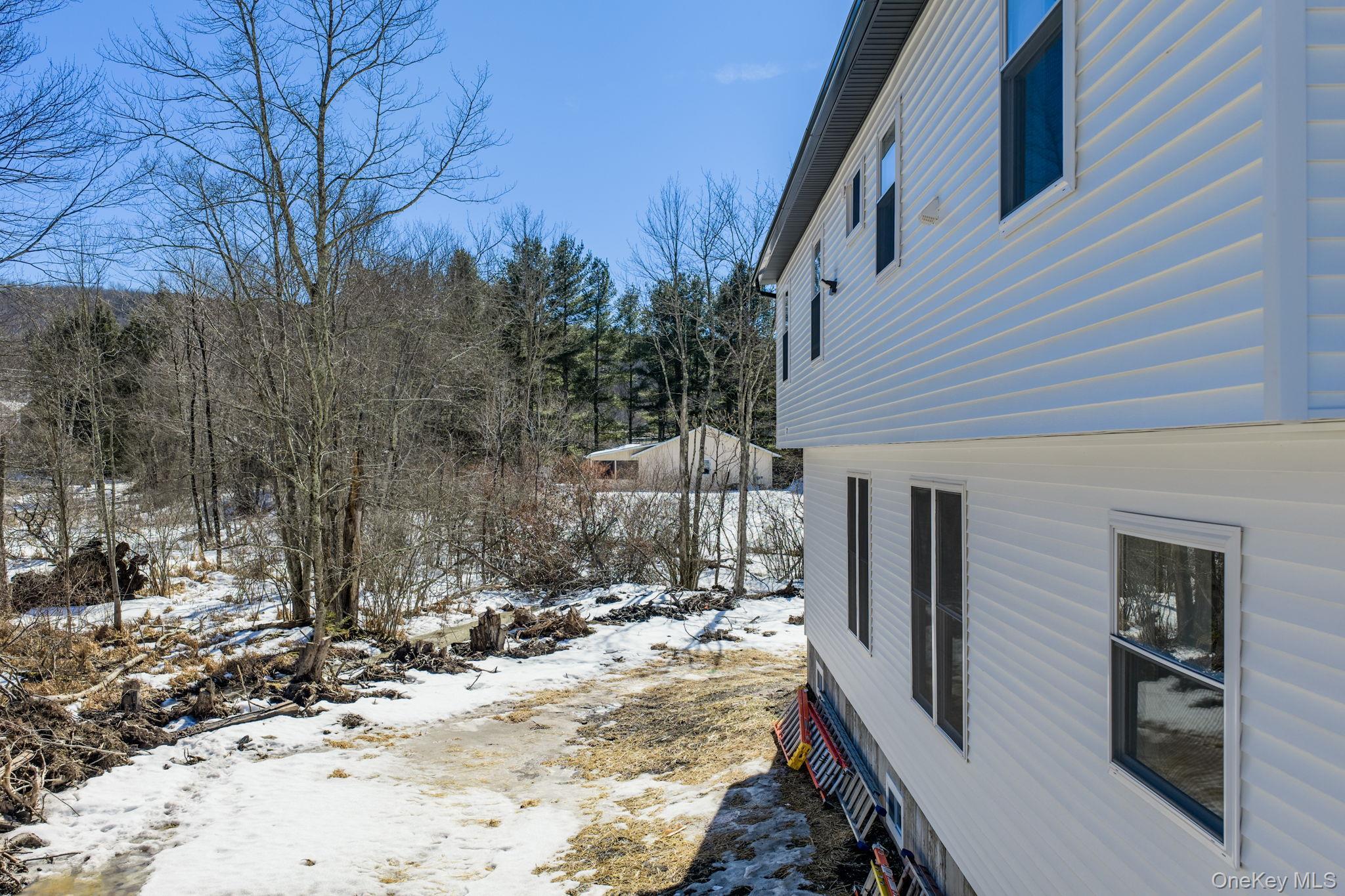 Single Family Maple Avenue  Sullivan County, NY 12747, MLS-969313-40