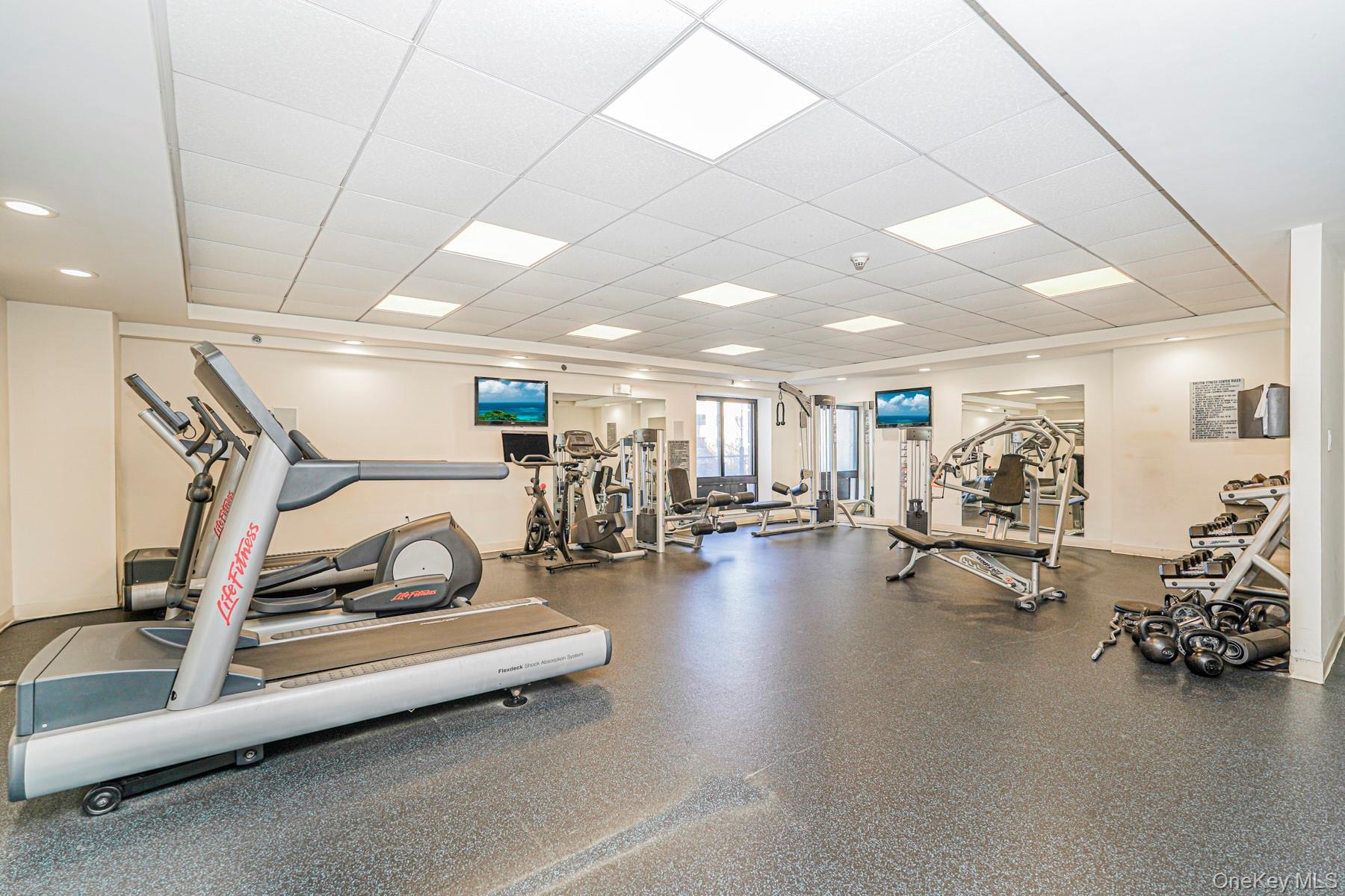 Coop Lafayette Brooklyn, NY 11221, MLS-969326-17