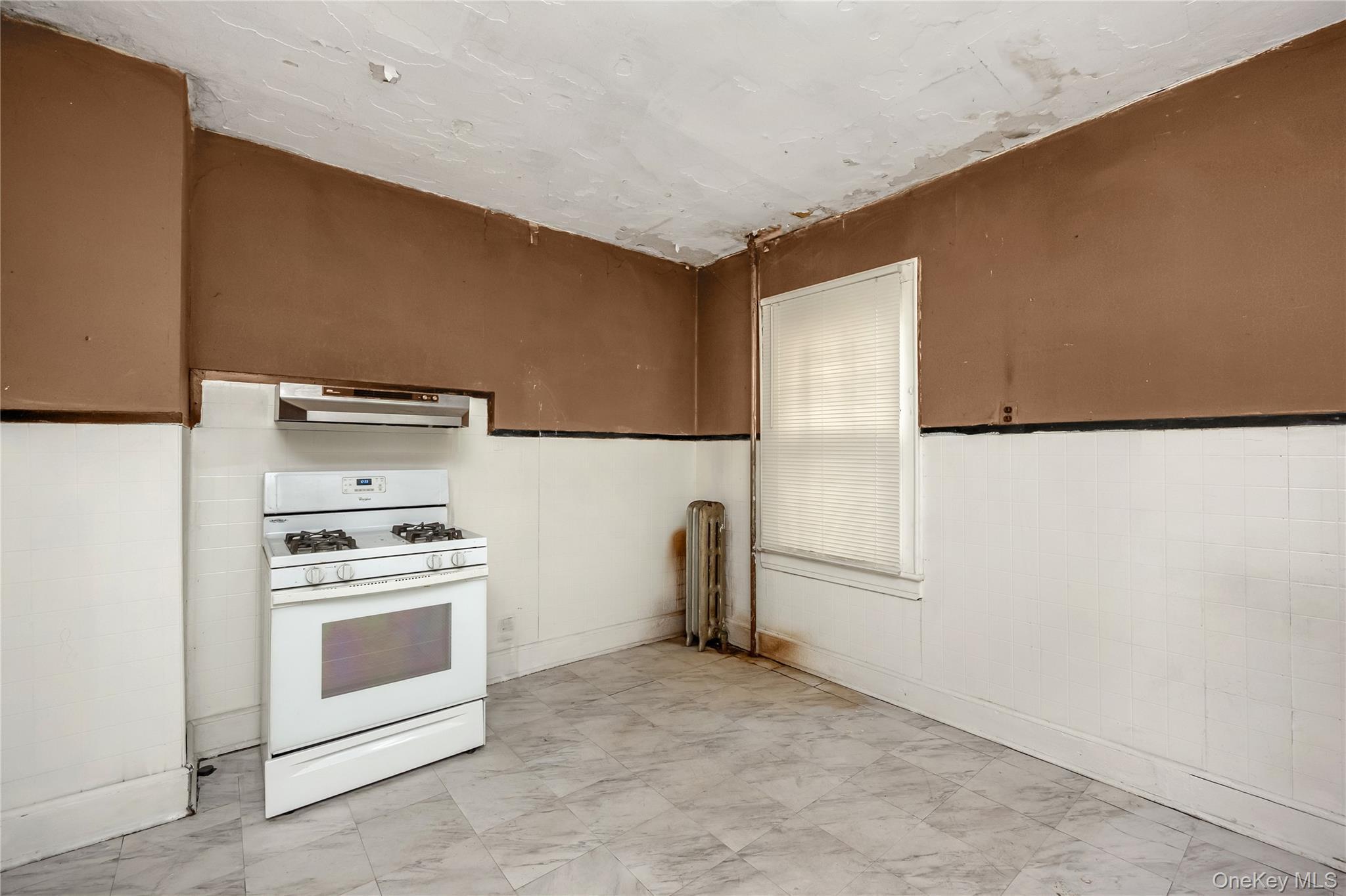 Single Family 133rd  Queens, NY 11420, MLS-969384-14