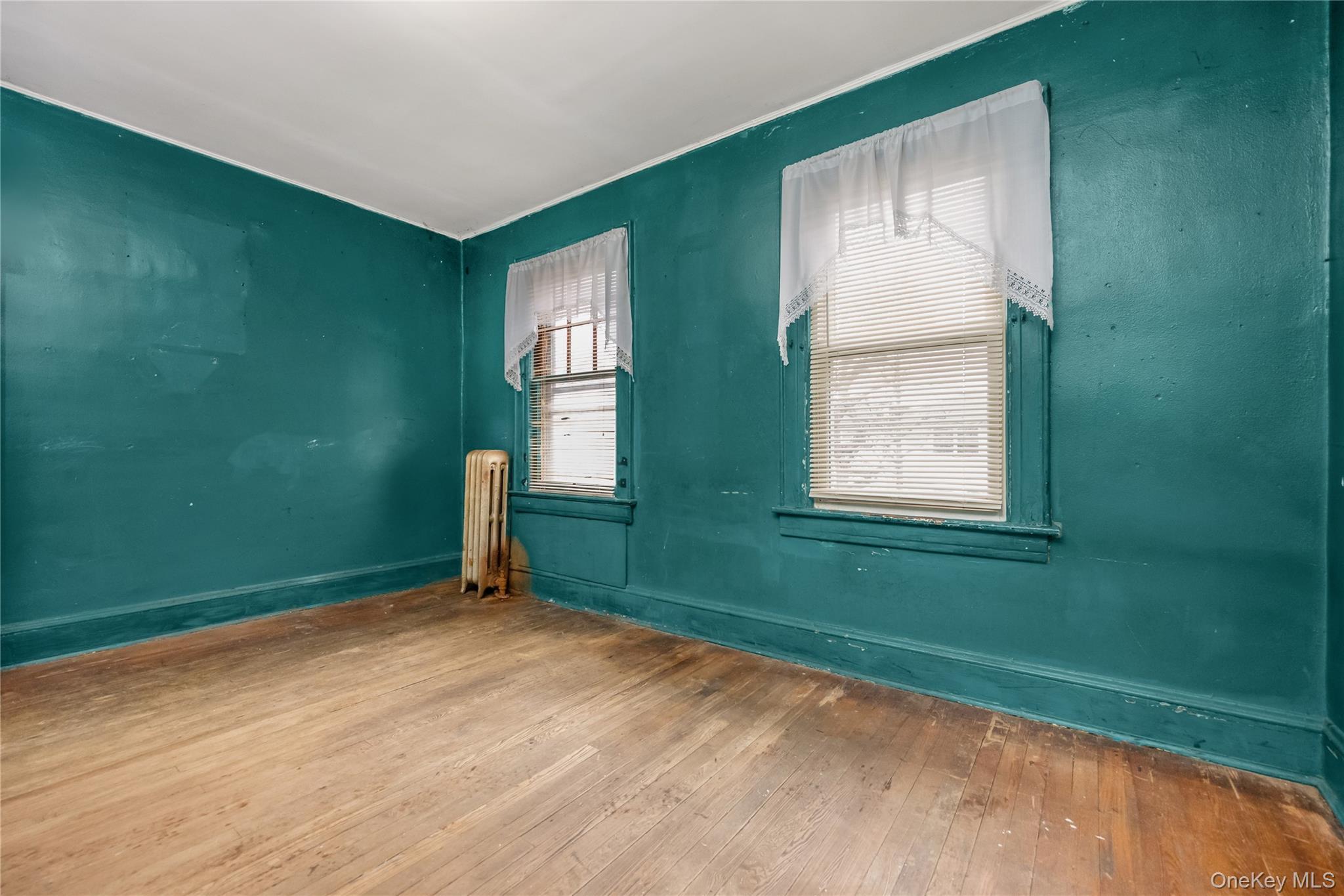 Single Family 133rd  Queens, NY 11420, MLS-969384-19