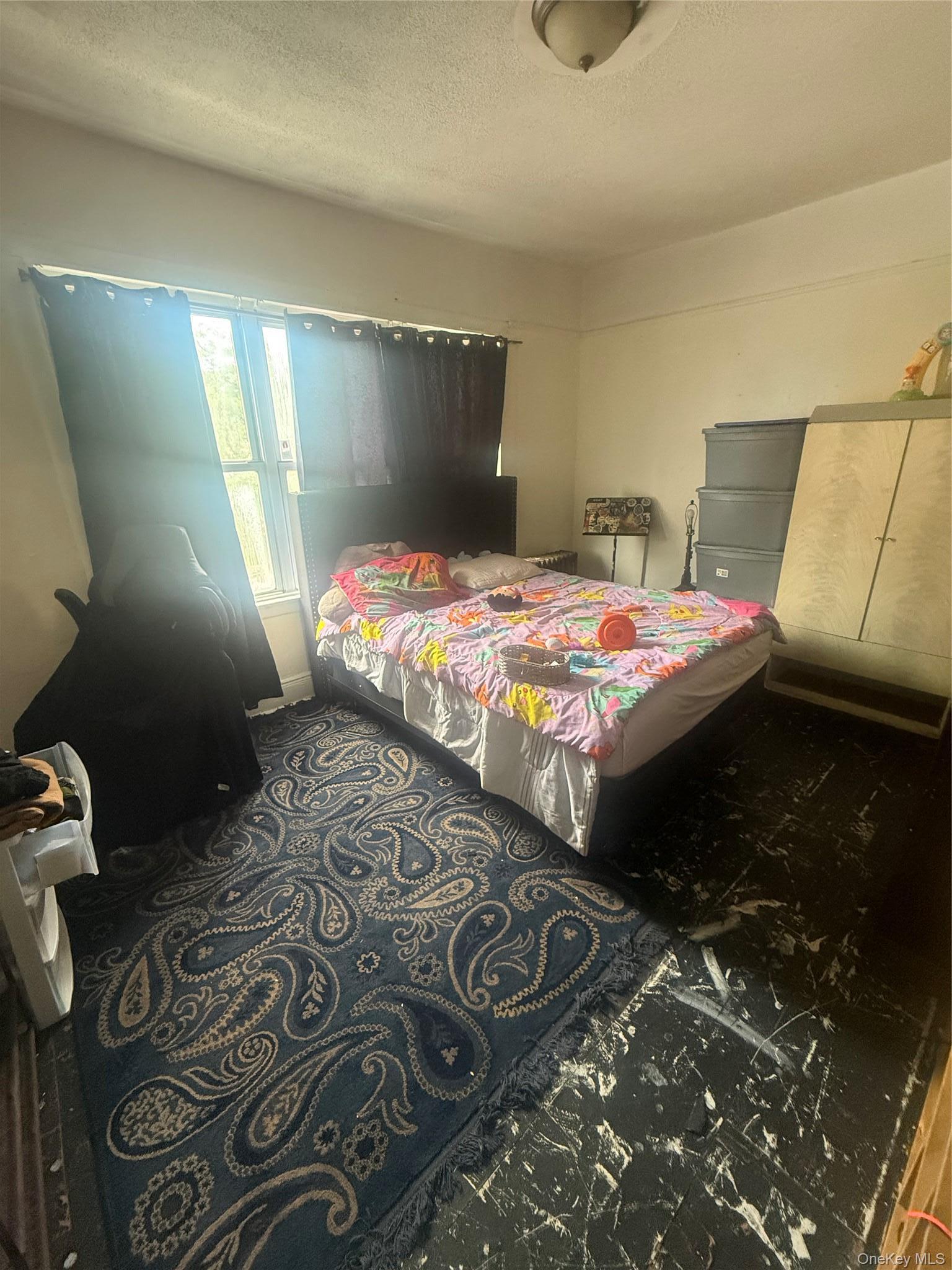 Single Family Schenectady Avenue Brooklyn, NY 11203, MLS-969387-10