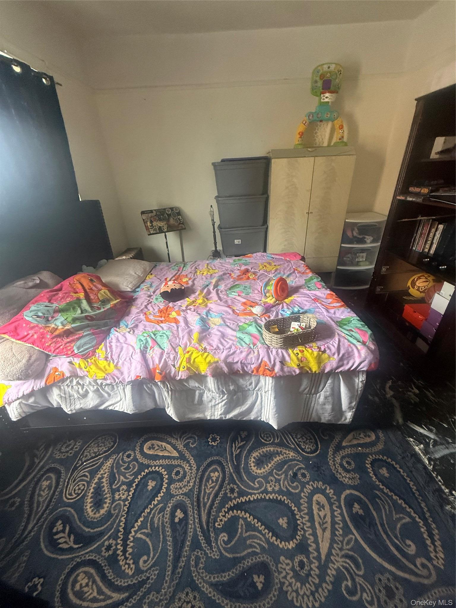 Single Family Schenectady Avenue Brooklyn, NY 11203, MLS-969387-11