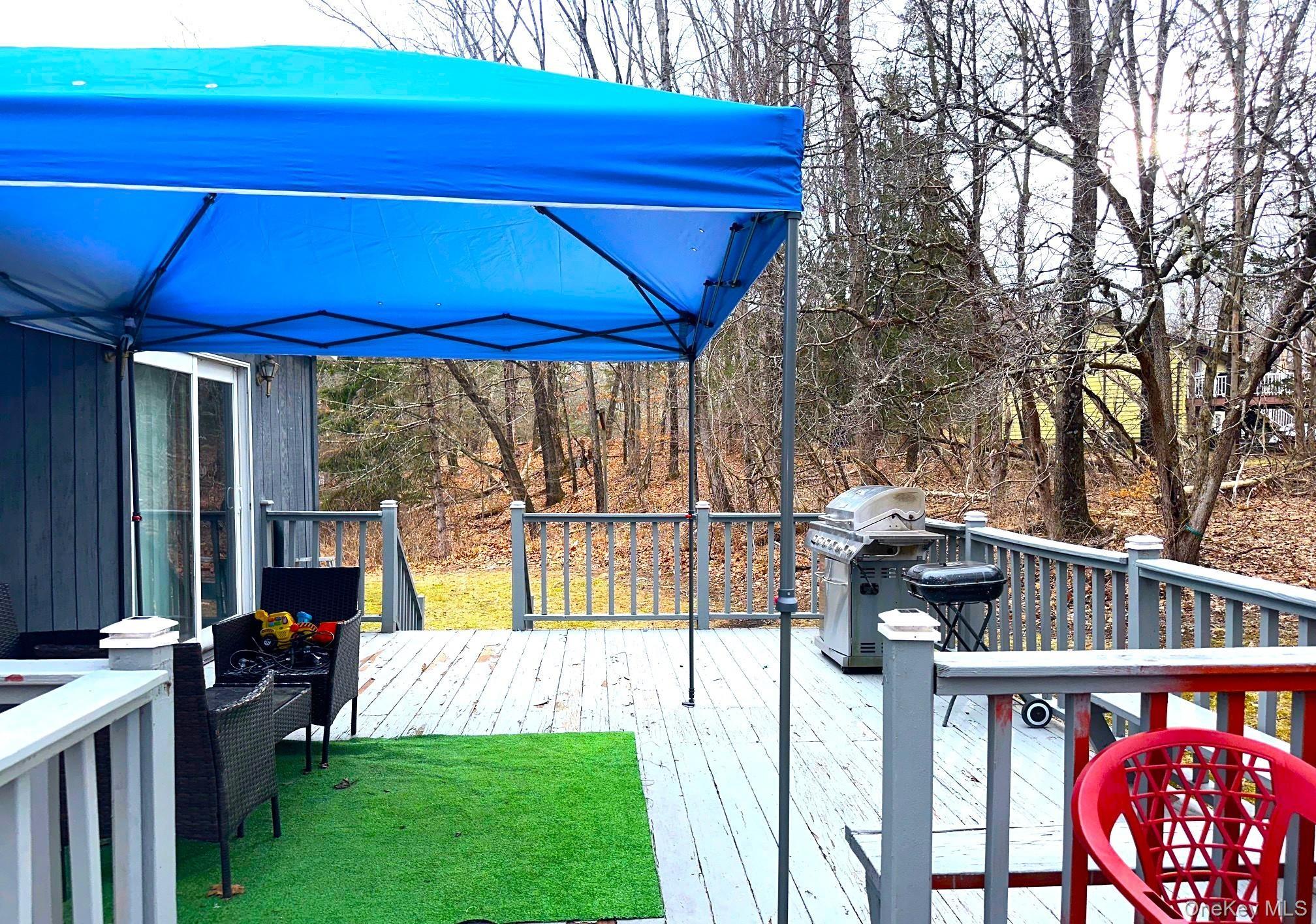 Single Family Pine  Dutchess County, NY 12580, MLS-969403-26