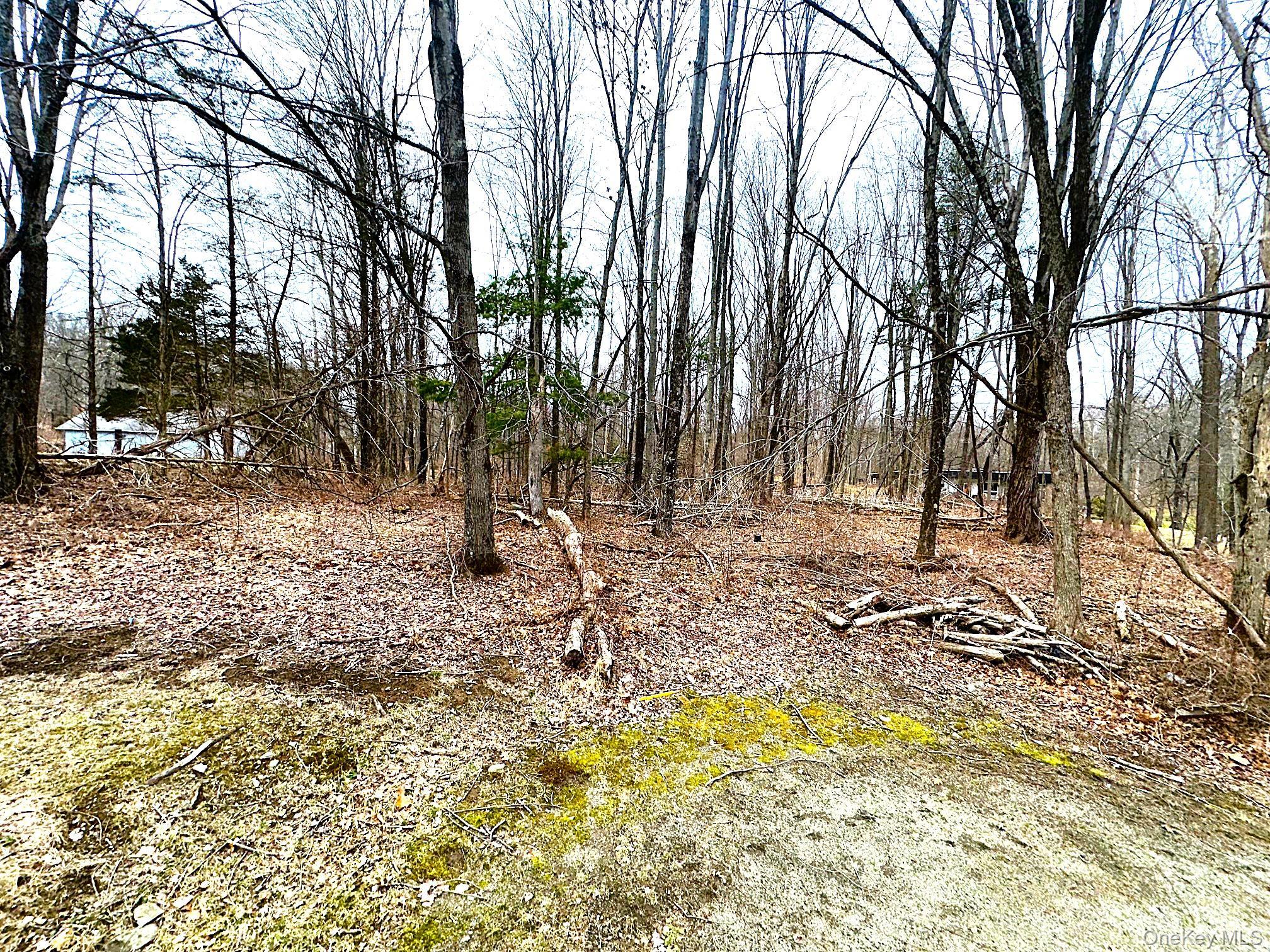 Single Family Pine  Dutchess County, NY 12580, MLS-969403-27