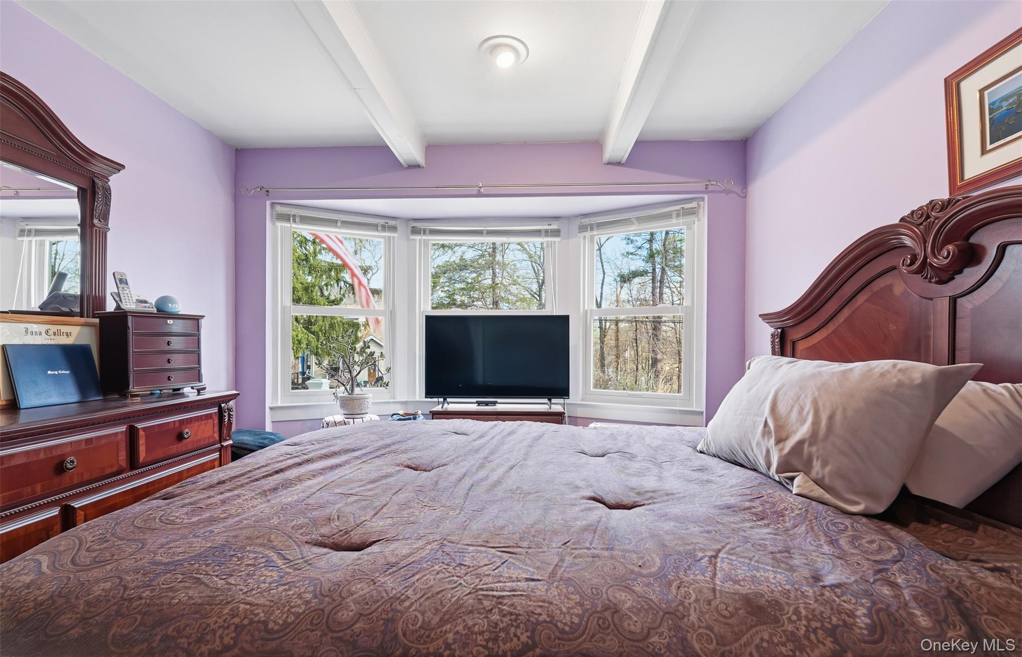 Single Family Johnson  Putnam County, NY 10537, MLS-969420-9