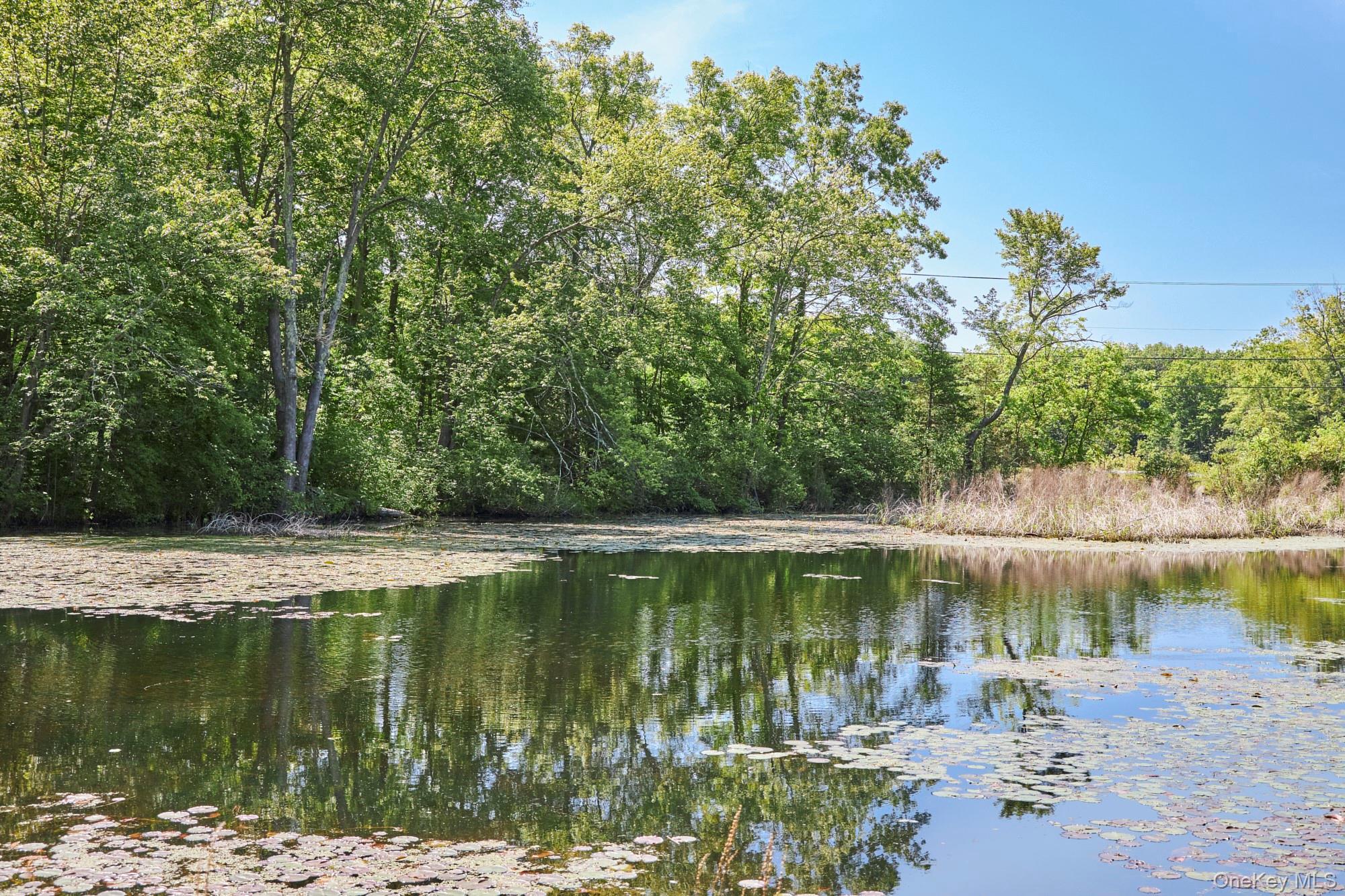Single Family Silver Lake Road Dutchess County, NY 12572, MLS-969504-48
