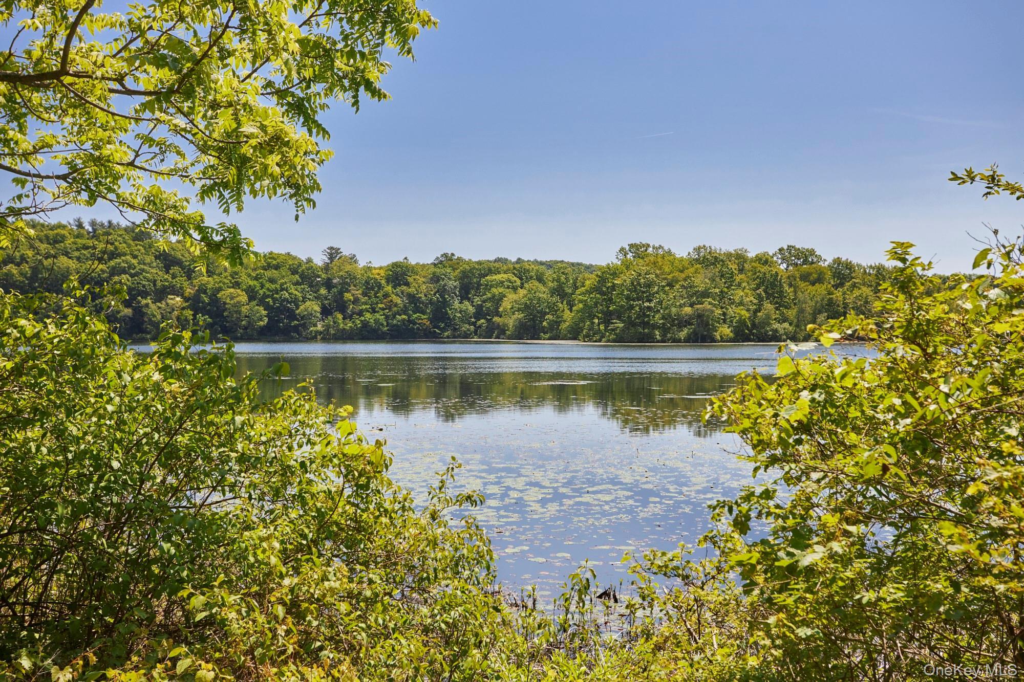 Single Family Silver Lake Road  Dutchess County, NY 12572, MLS-969504-49
