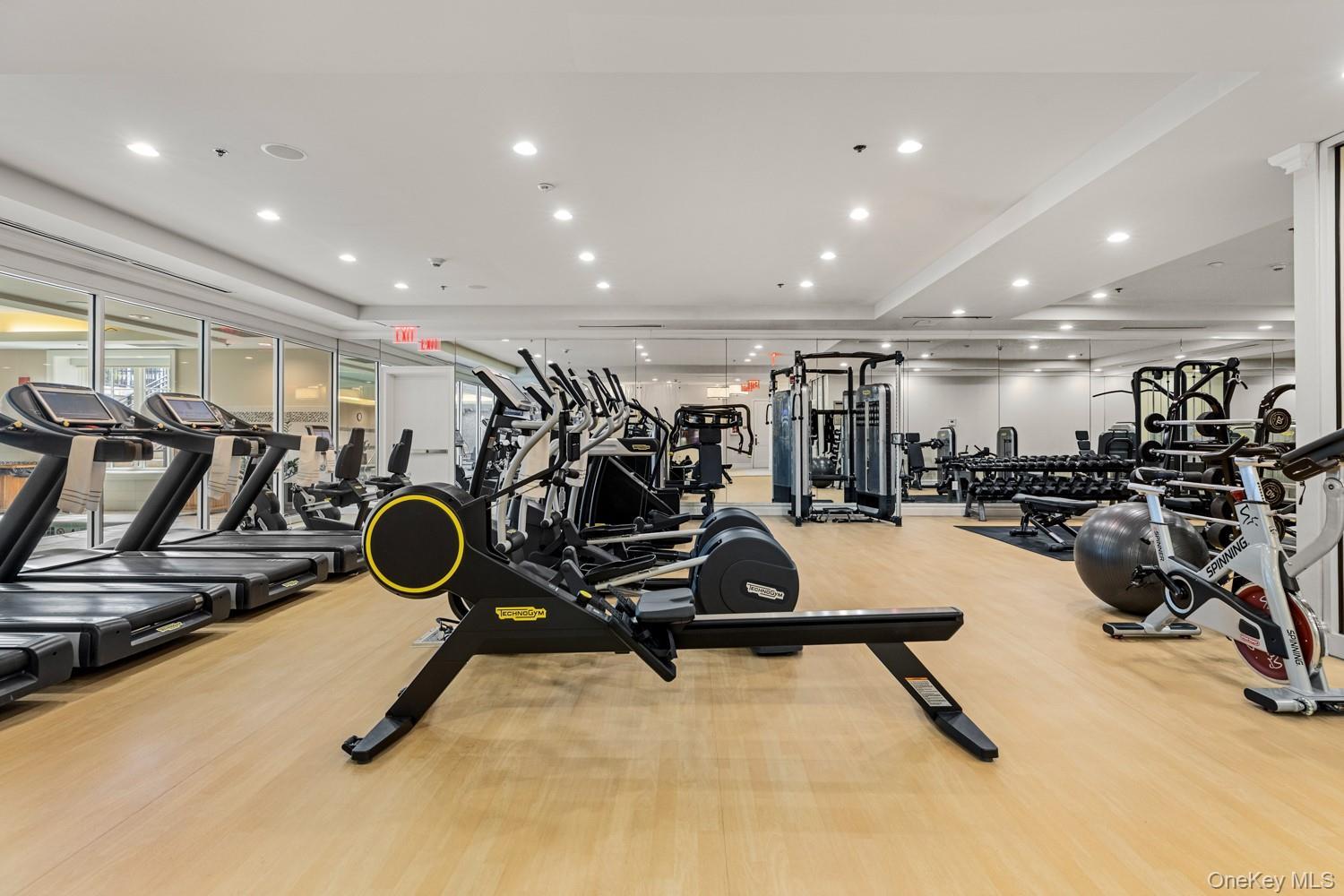 Condo Royal  Nassau County, NY 11040, MLS-969519-39