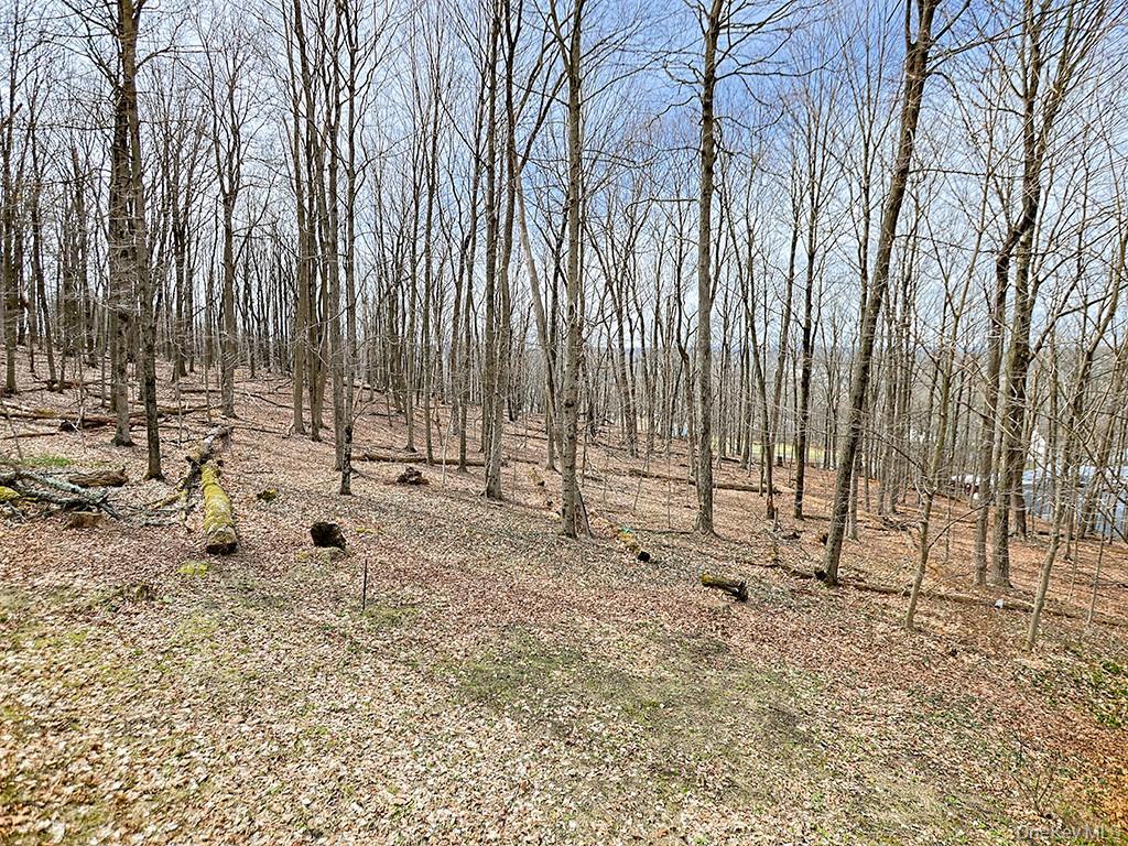 Single Family Sunrise  Orange County, NY 10924, MLS-969565-48