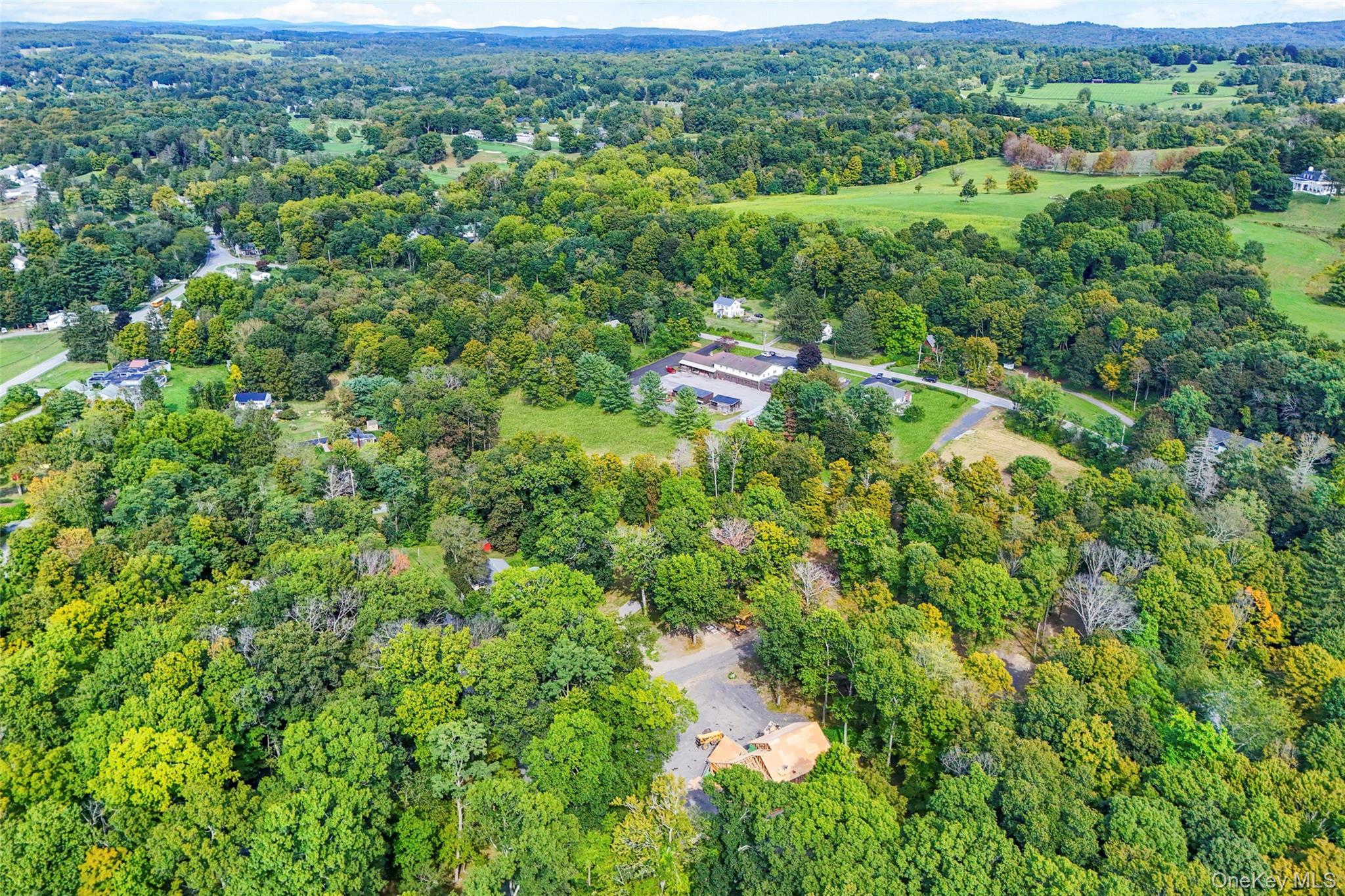 Single Family Maple Hill Drive Dutchess County, NY 12545, MLS-969575-8