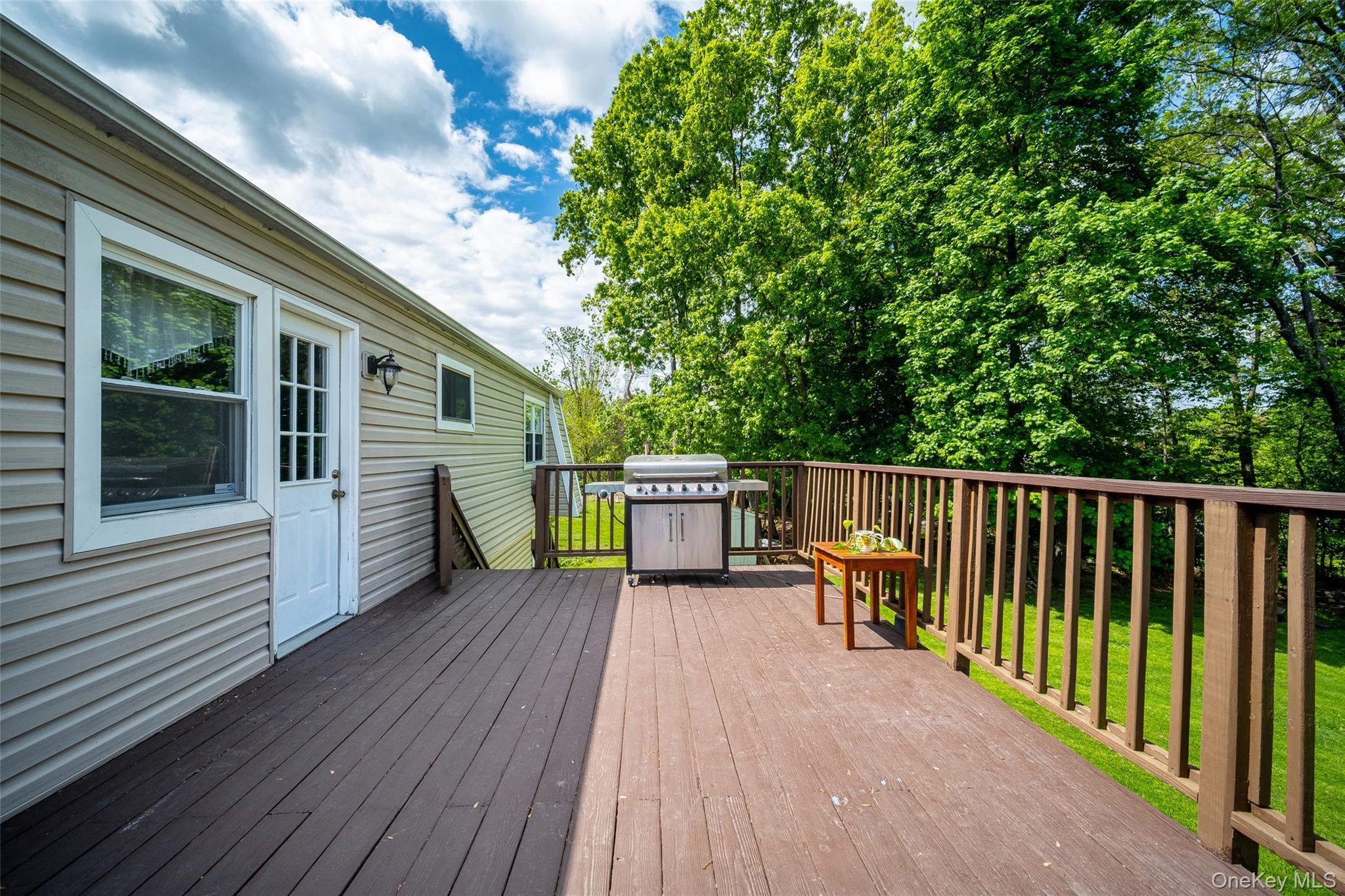 Single Family Philo Street  Orange County, NY 12553, MLS-969616-33