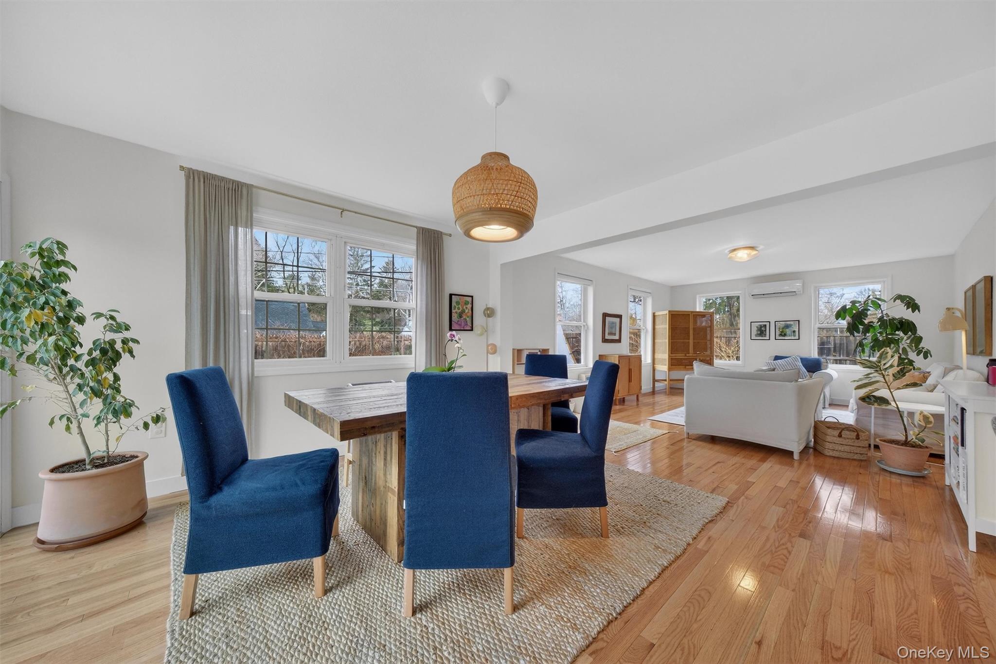 Single Family Chestnut  Orange County, NY 12553, MLS-969678-11