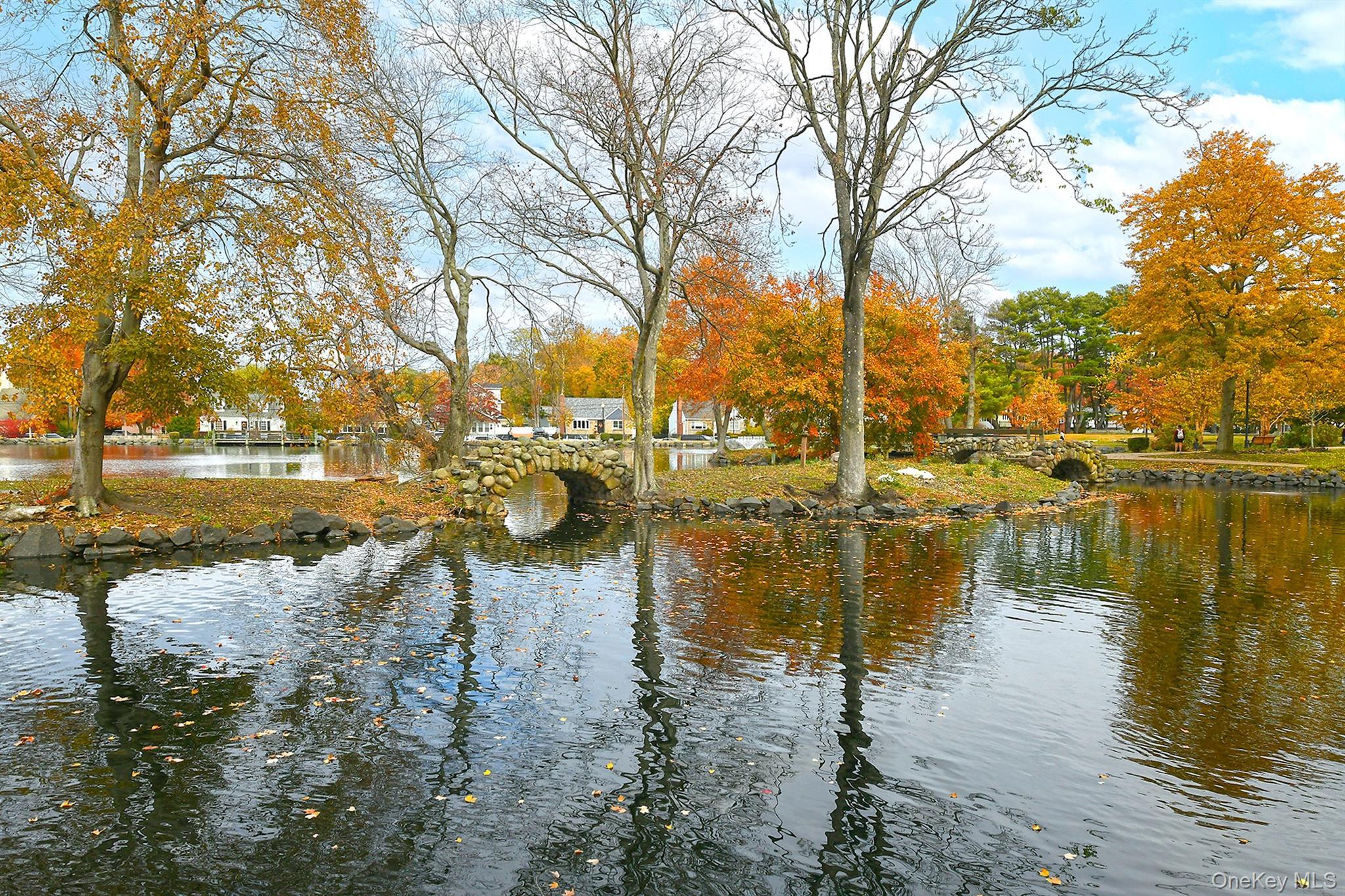 Coop Gibson  Suffolk County, NY 11743, MLS-969695-18