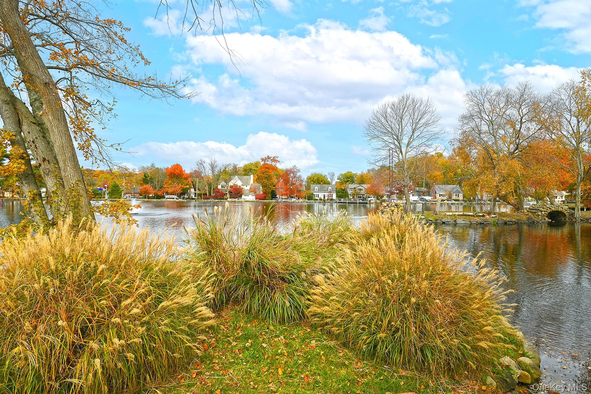 Coop Gibson  Suffolk County, NY 11743, MLS-969695-19