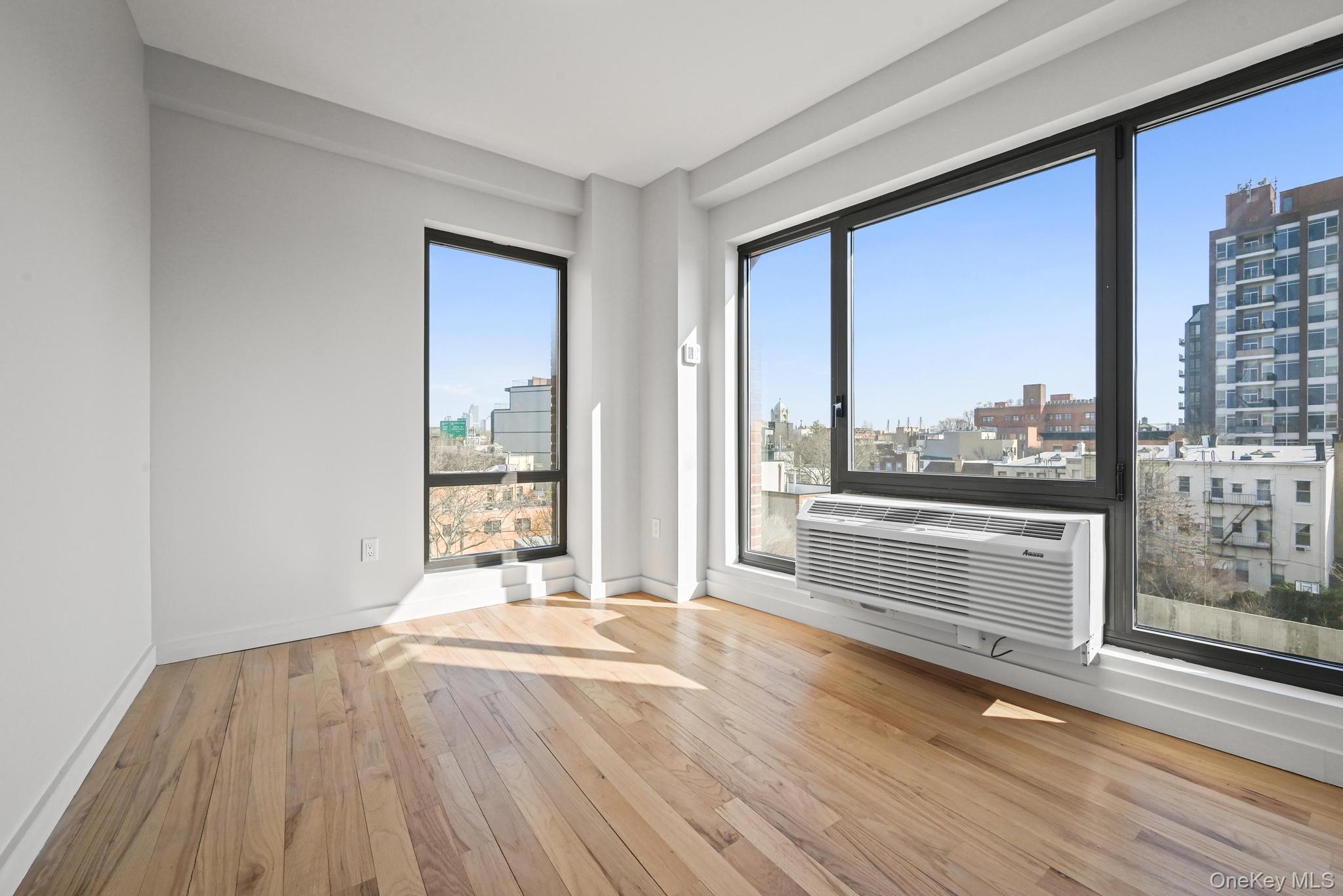Apartment Graham Brooklyn, NY 11211, MLS-969752-9